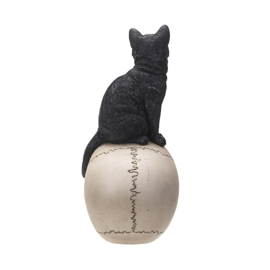 Black Cat On Skull Statue – Curiosa - Purveyors of Extraordinary