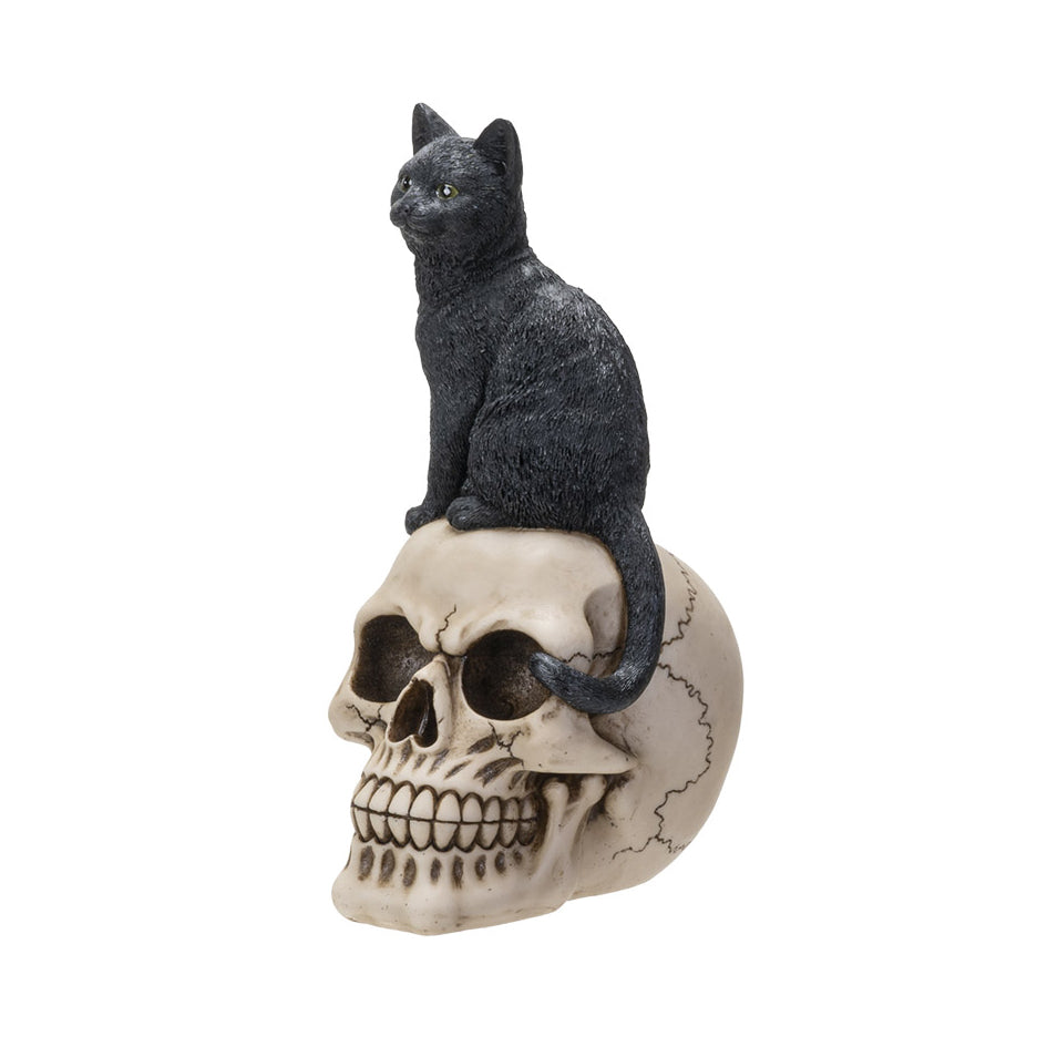 Black Cat On Skull Statue