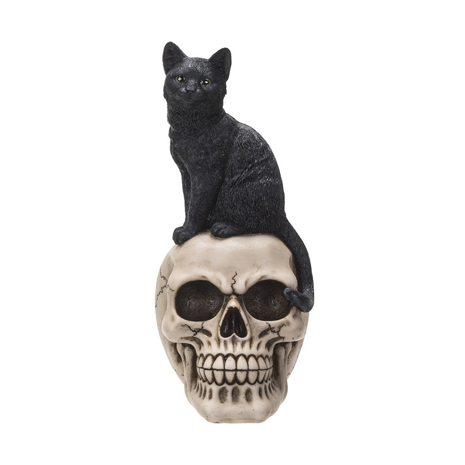 Black Cat On Skull Statue