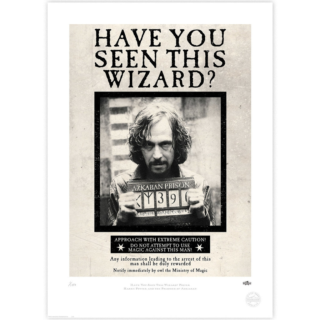 have you seen this wizard? limited edition art print – curiosa