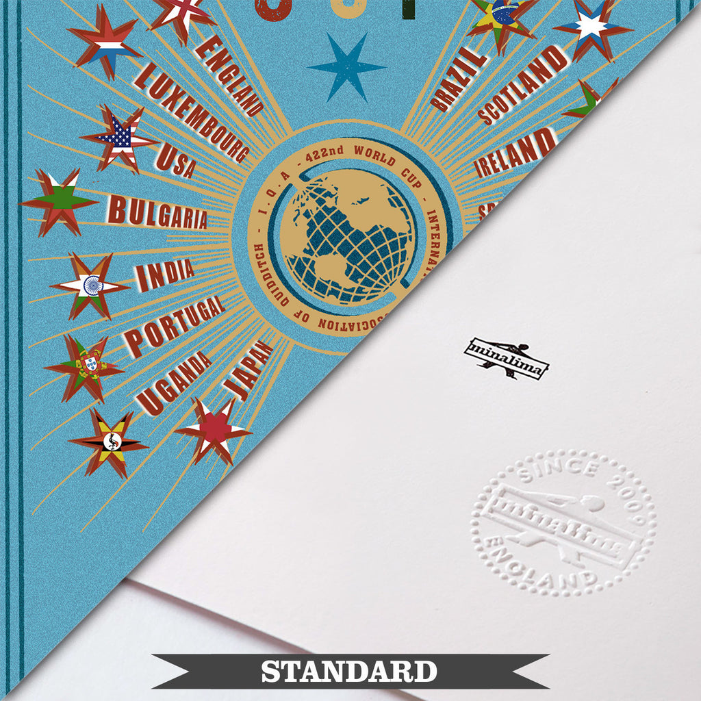 The_422nd_Quidditch_World_Cup_
