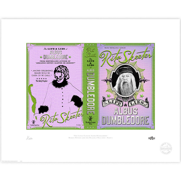 albus dumbledore fish nets The Life & Lies of Albus Dumbledore Limited Edition Art Print – Curiosa