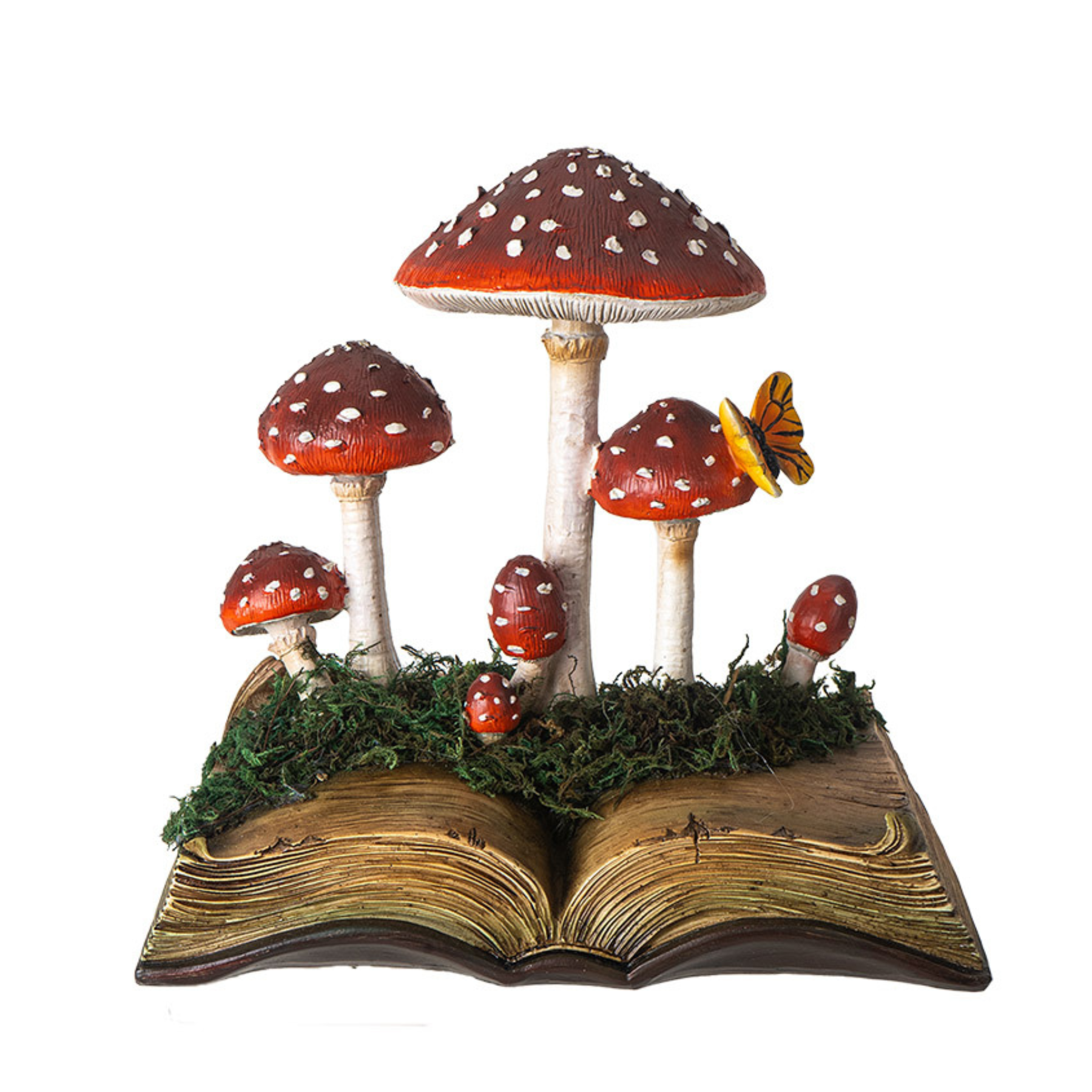 Fungus & Folklore