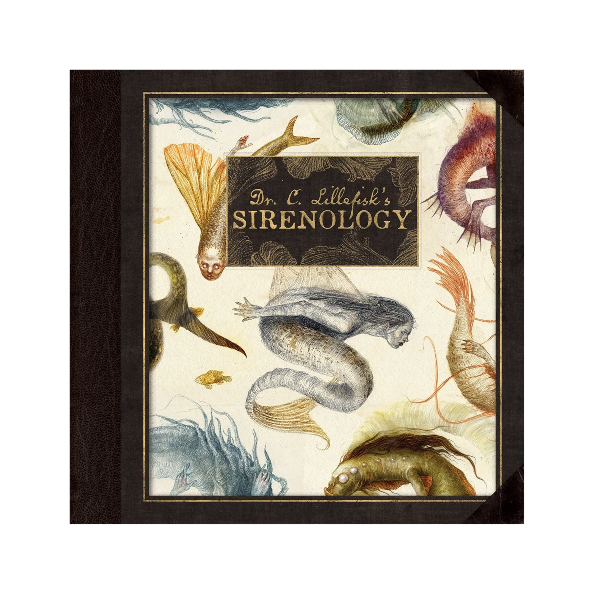Dr. C. Lillefisk's Sirenology: A Guide to Mermaids and Other Under-The-Sea Phenonemon