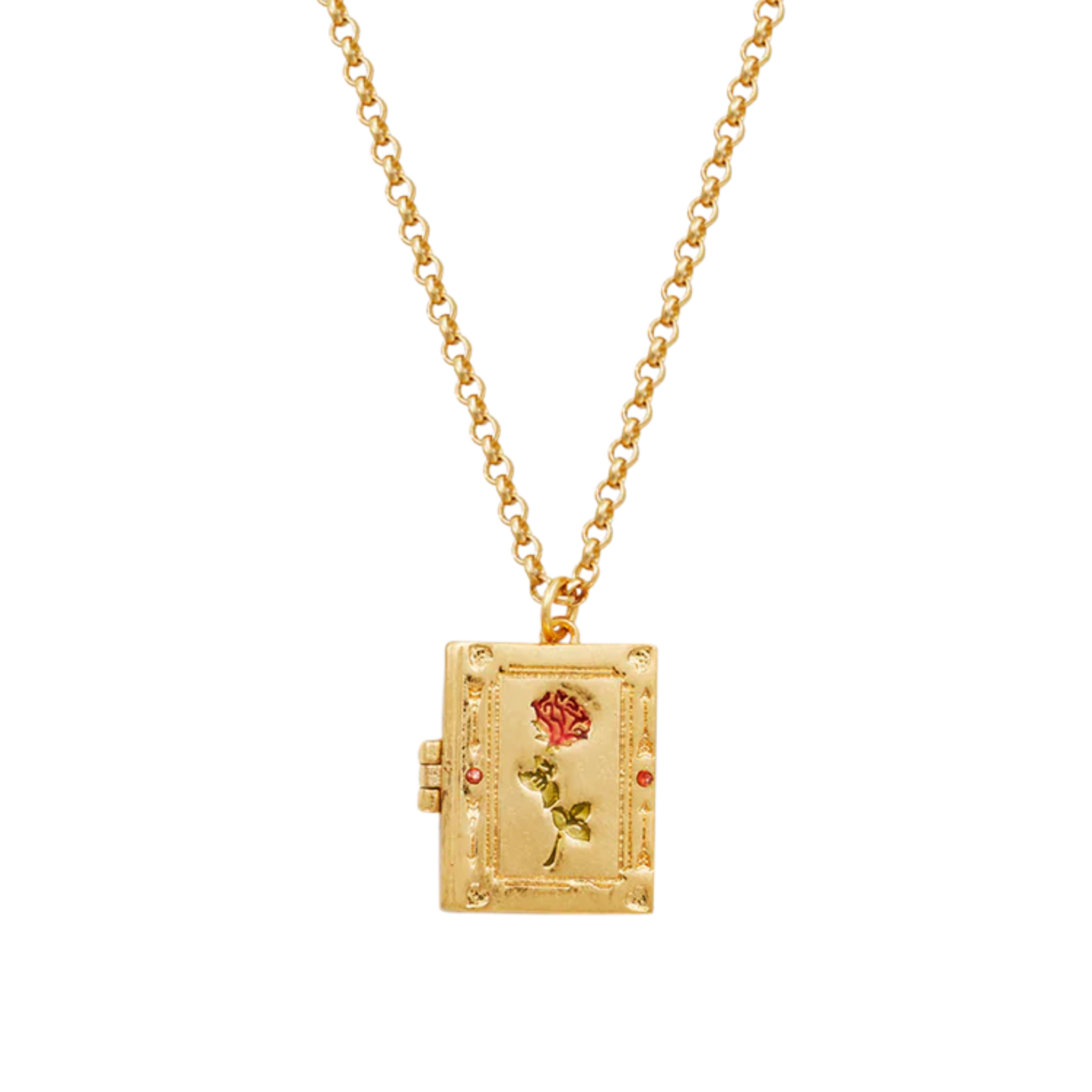 Rose Diary Locket Necklace - Fable England