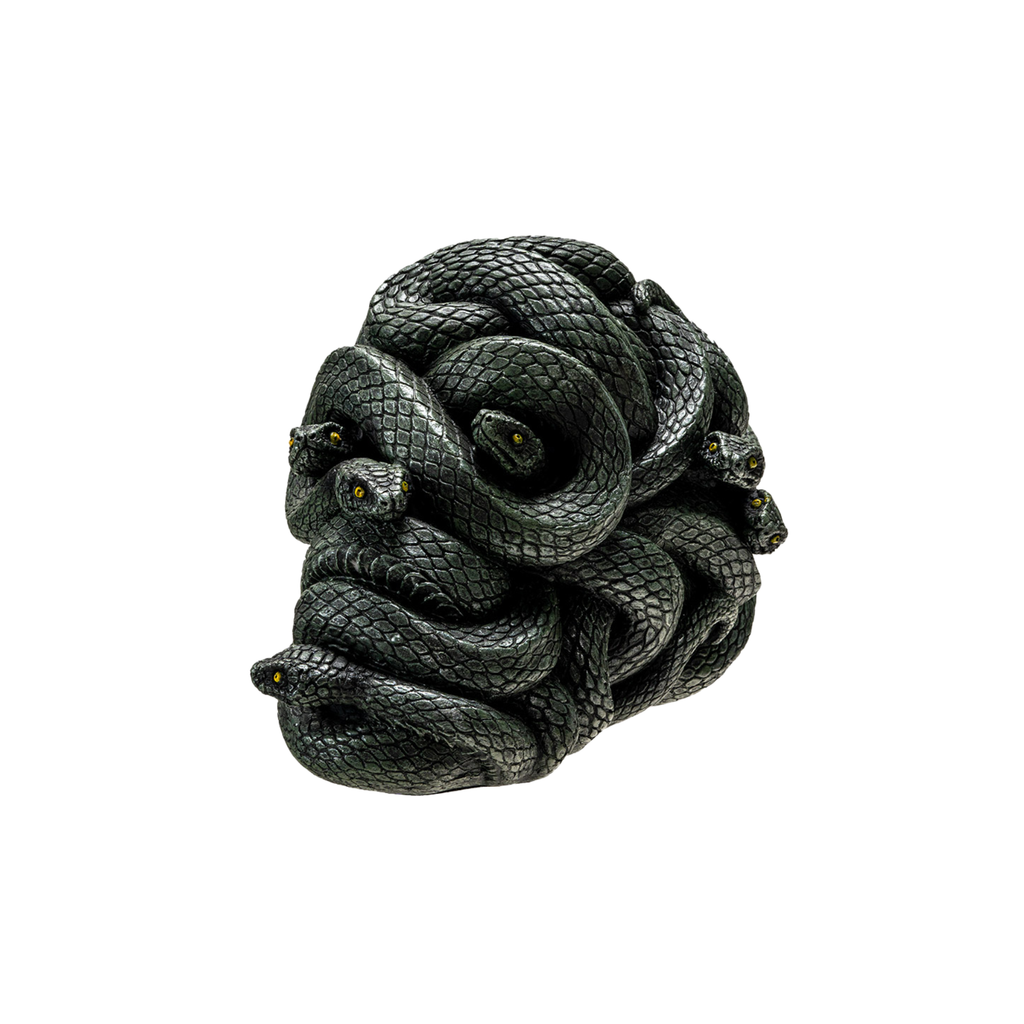 Slithering Skull – Curiosa - Purveyors of Extraordinary Things