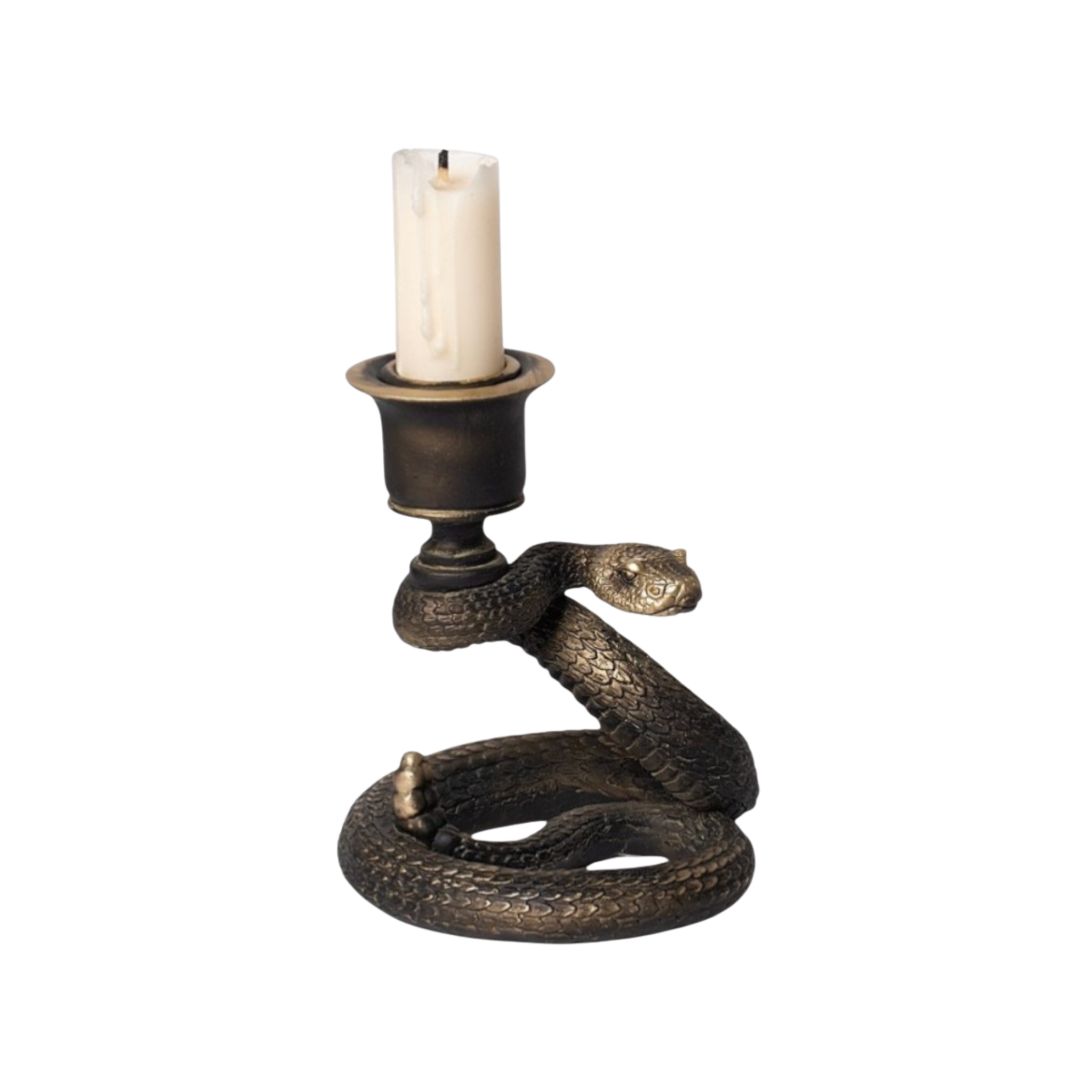Rattlesnake Candle Holder