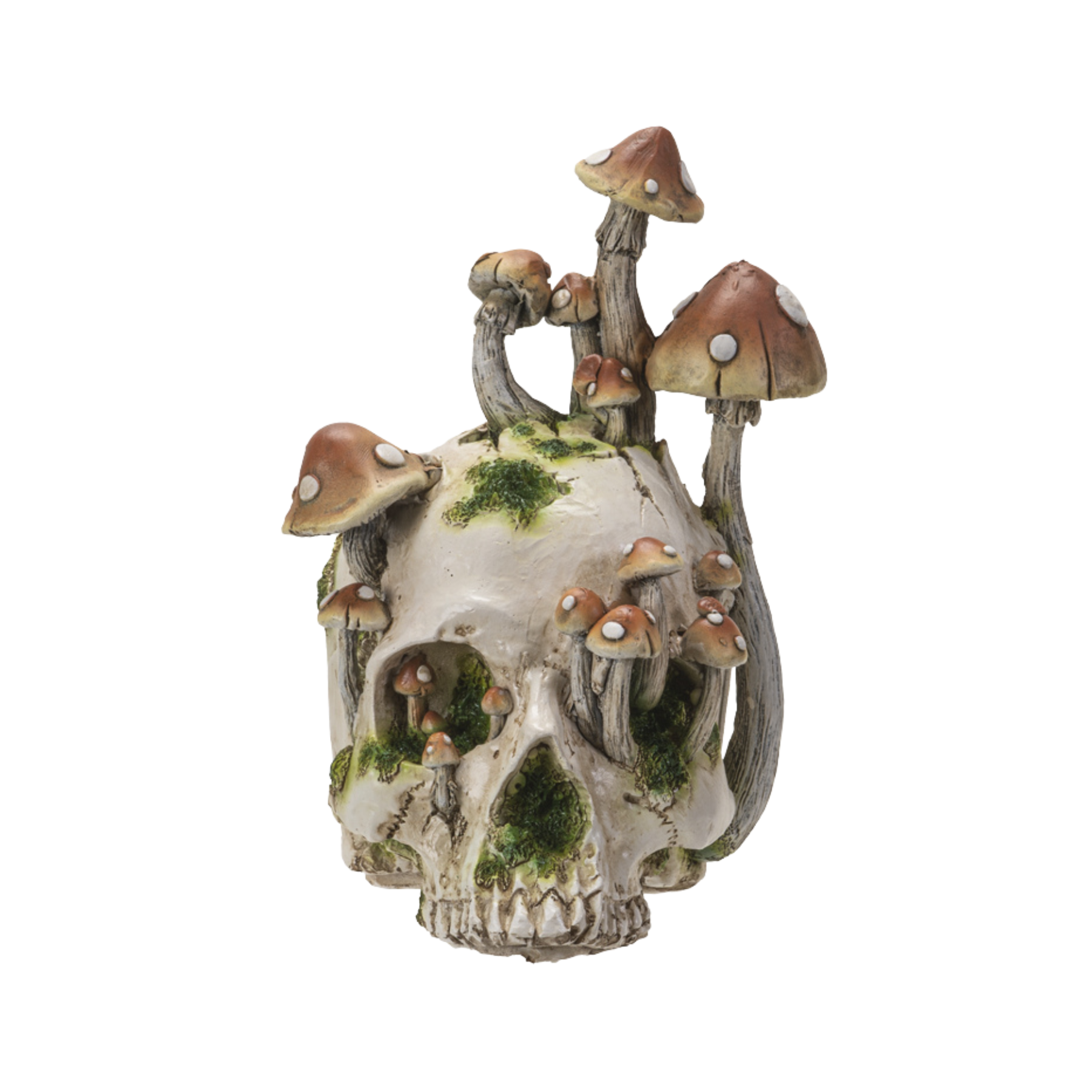 The Skull of Mushroom Grove