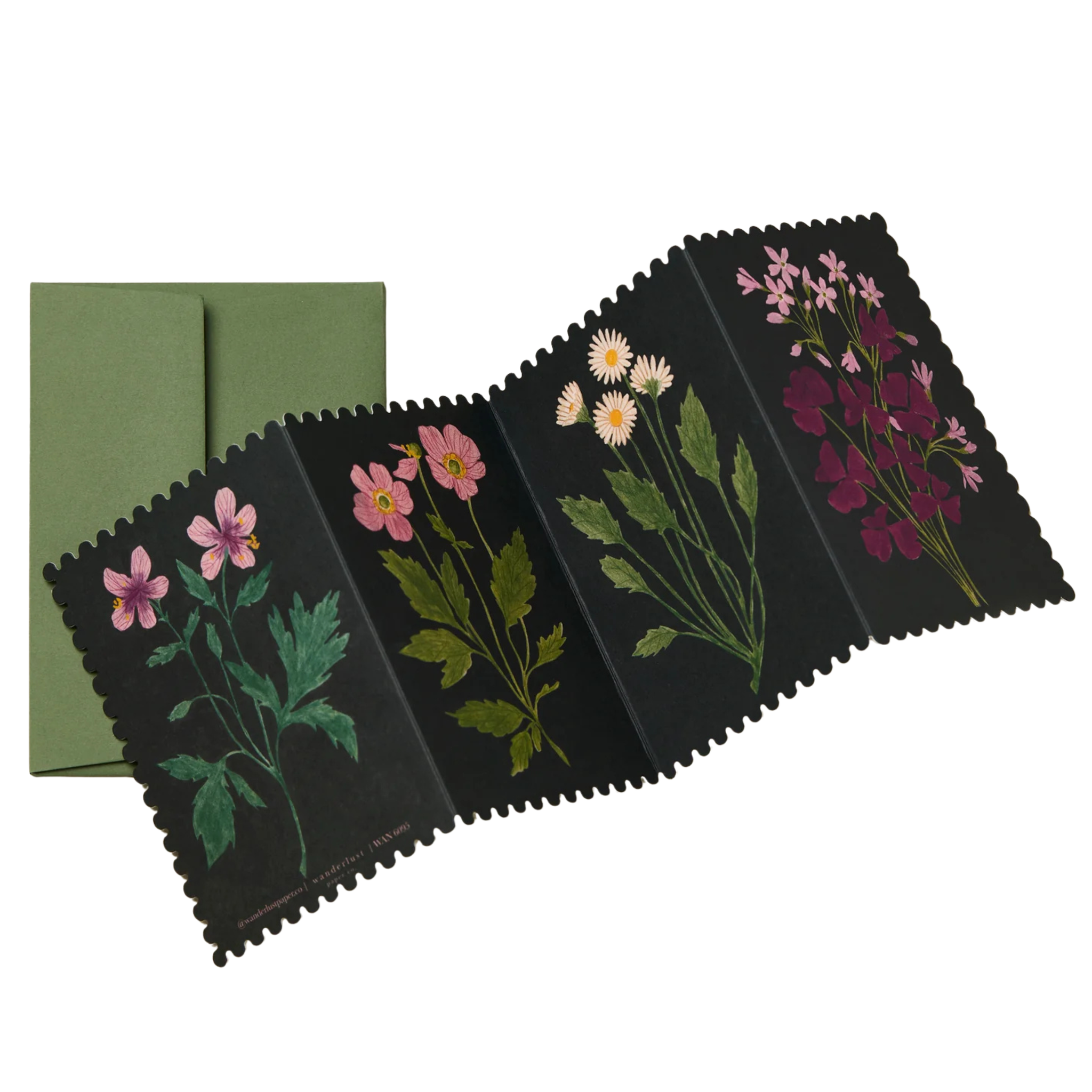 Botanical Concertina Card