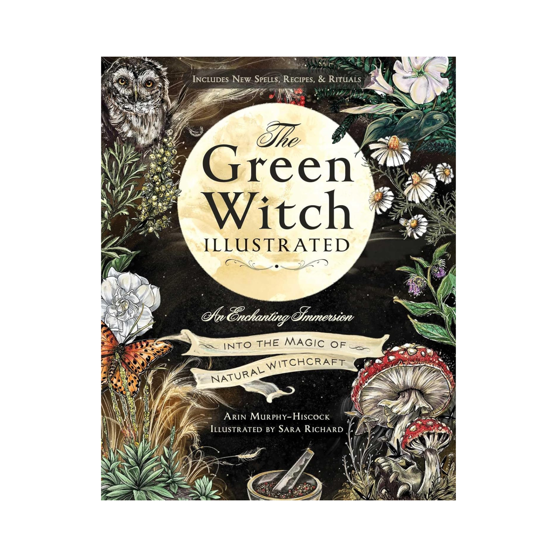 The Green Witch Illustrated Edition
