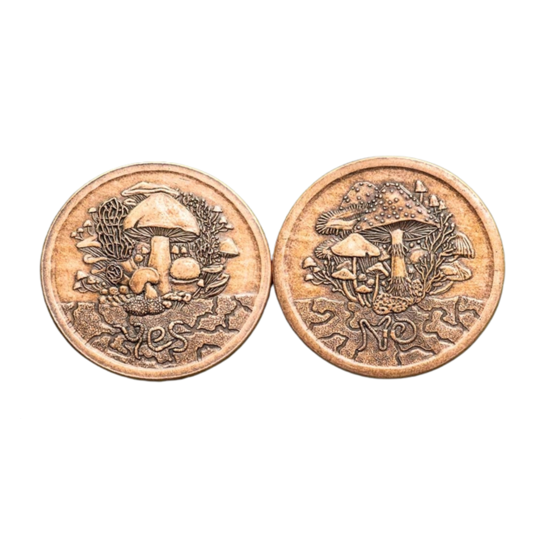 Fungible Token Decision Maker Coin