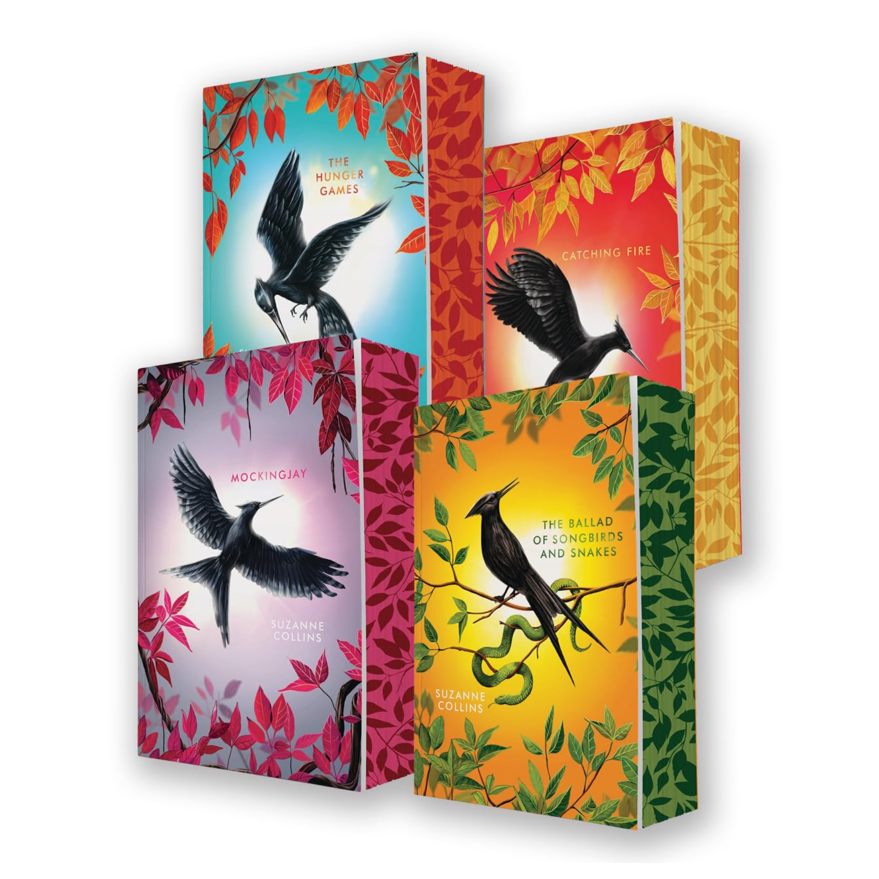 Hunger Games Paperback Box Set - Deluxe Edition