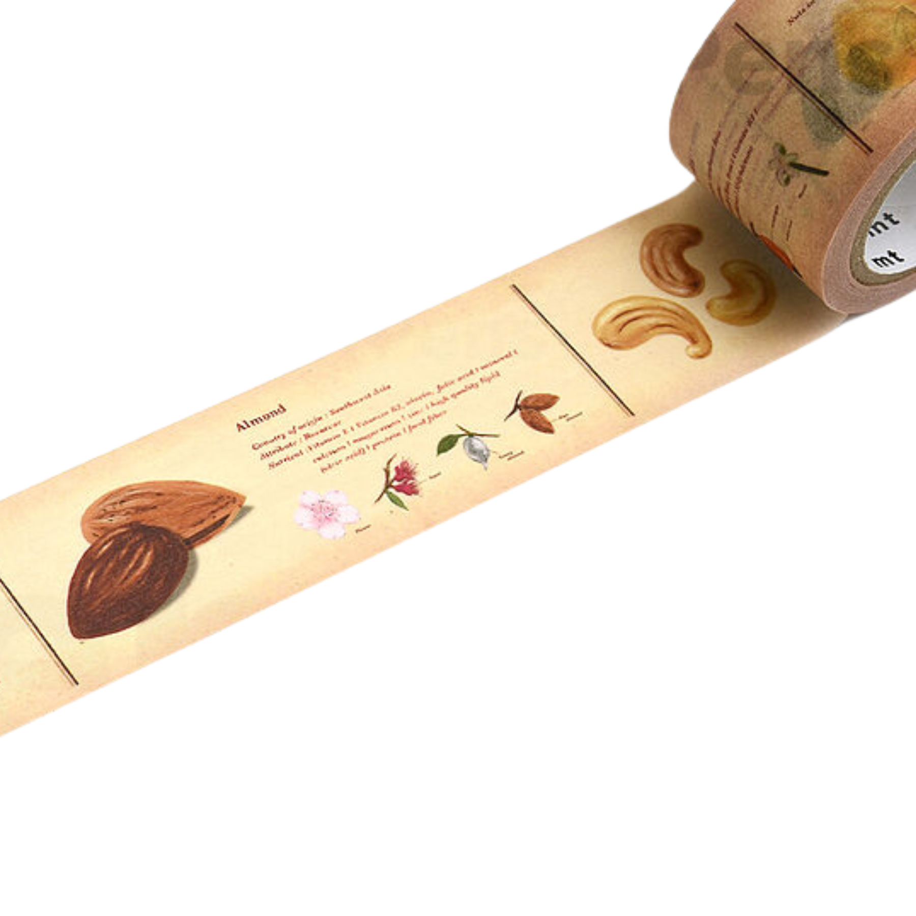 Gatherer Washi Tape