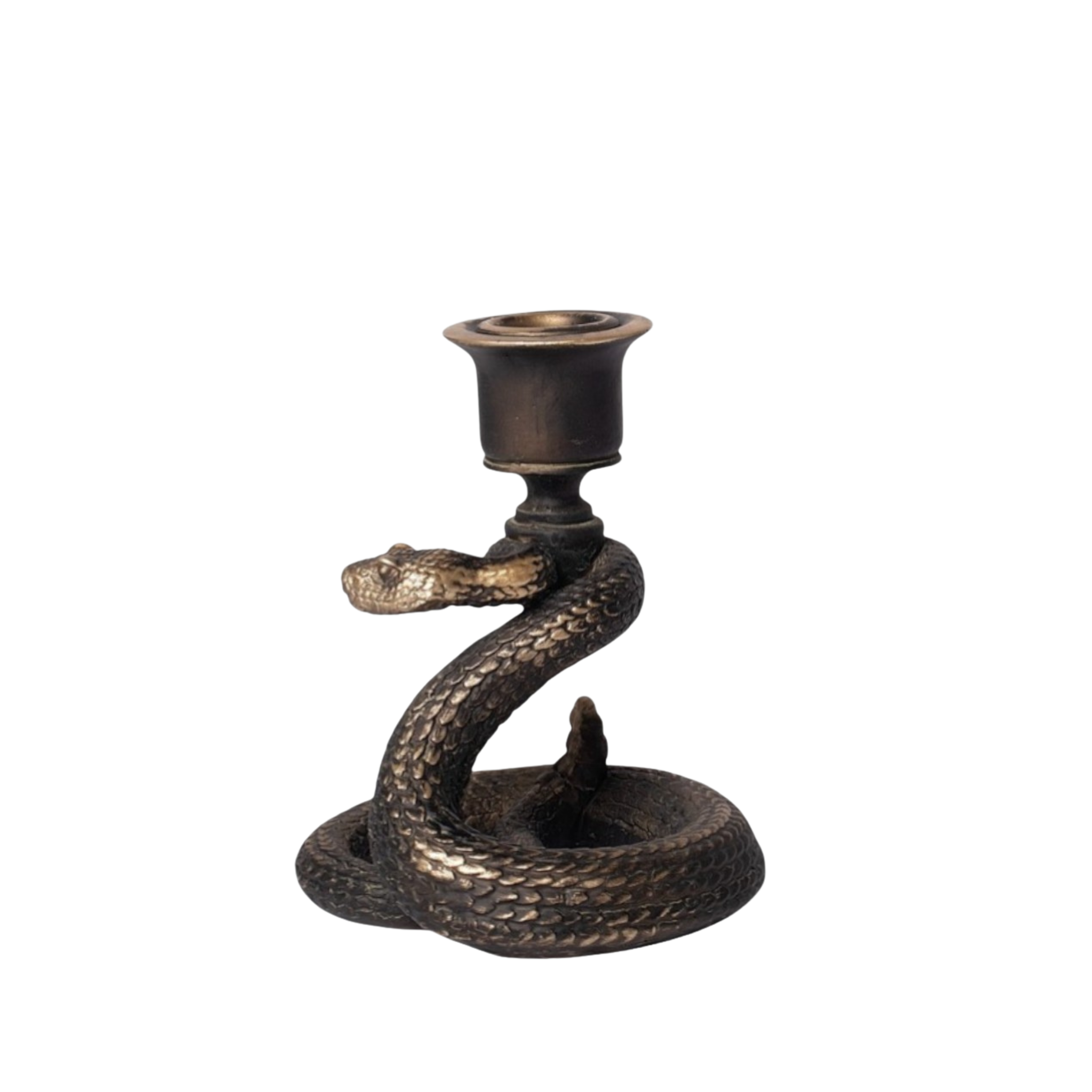 Rattlesnake Candle Holder