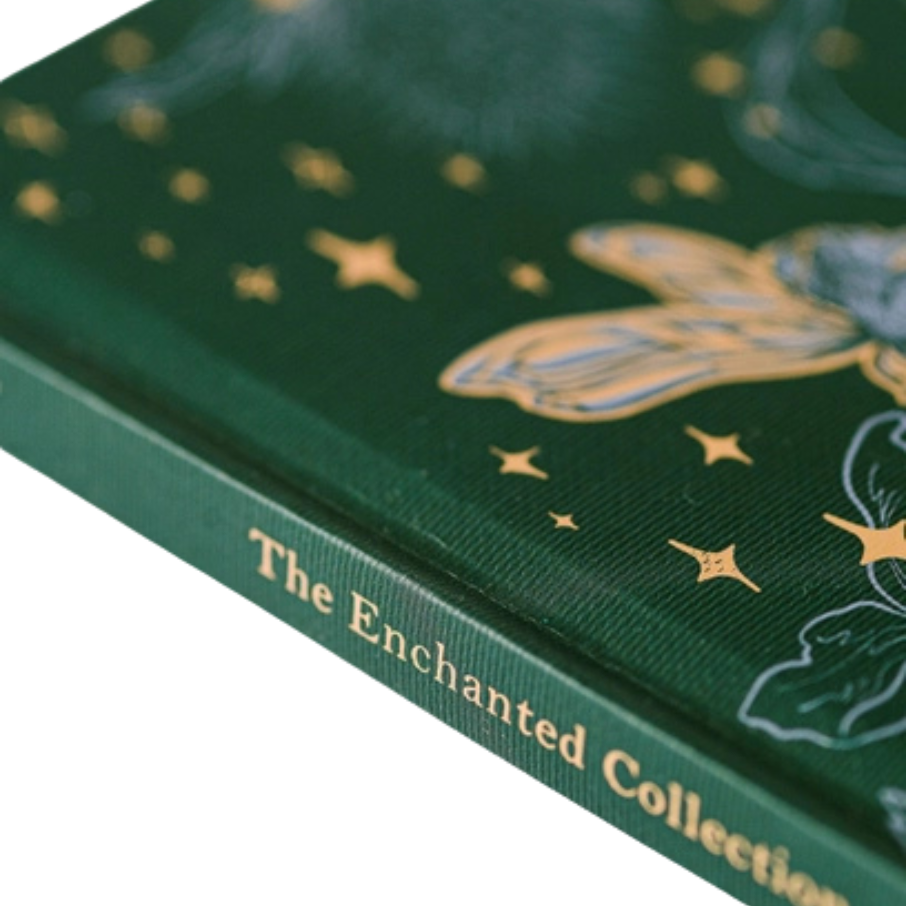 Green Fairy Pocket Journal