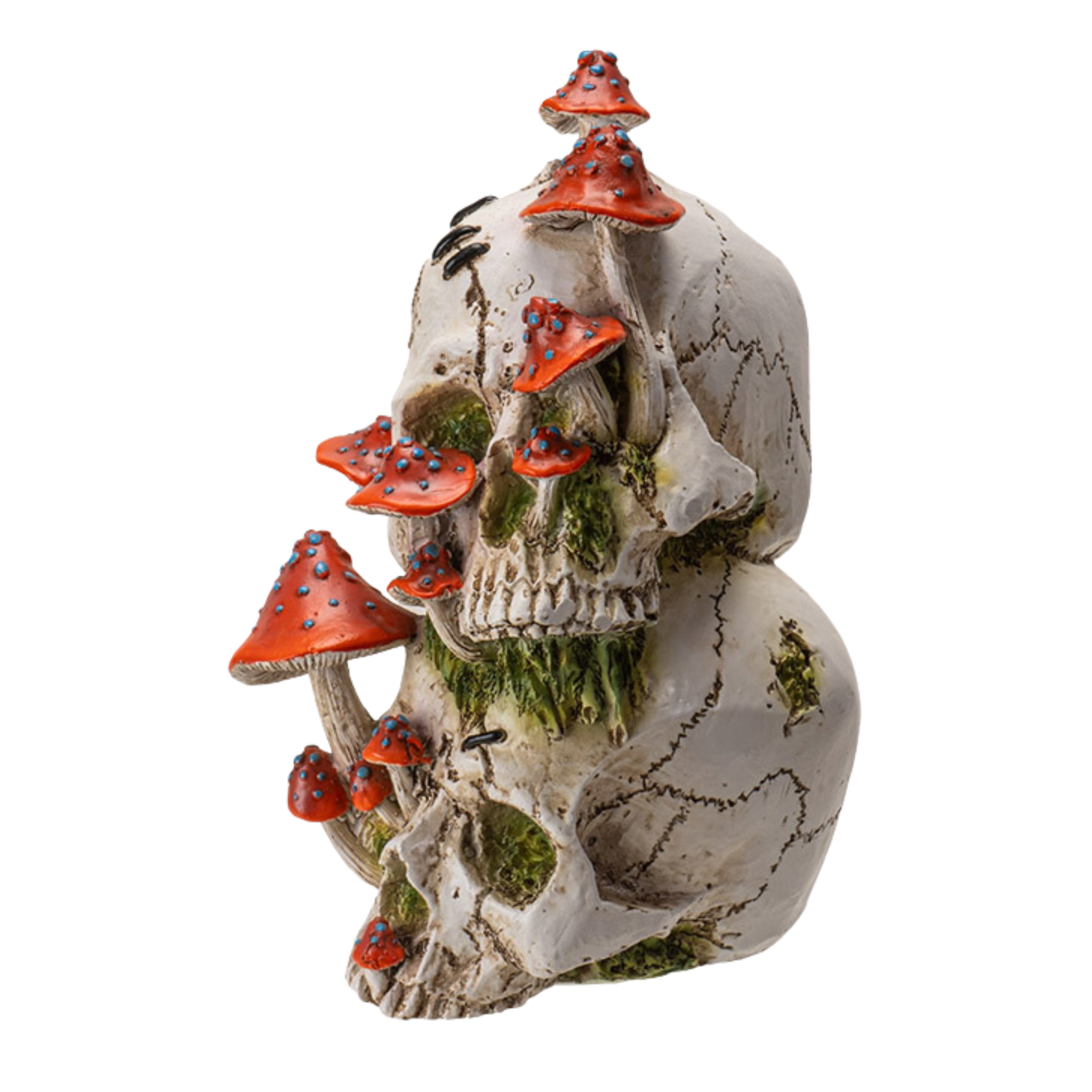 Fungi Skulls