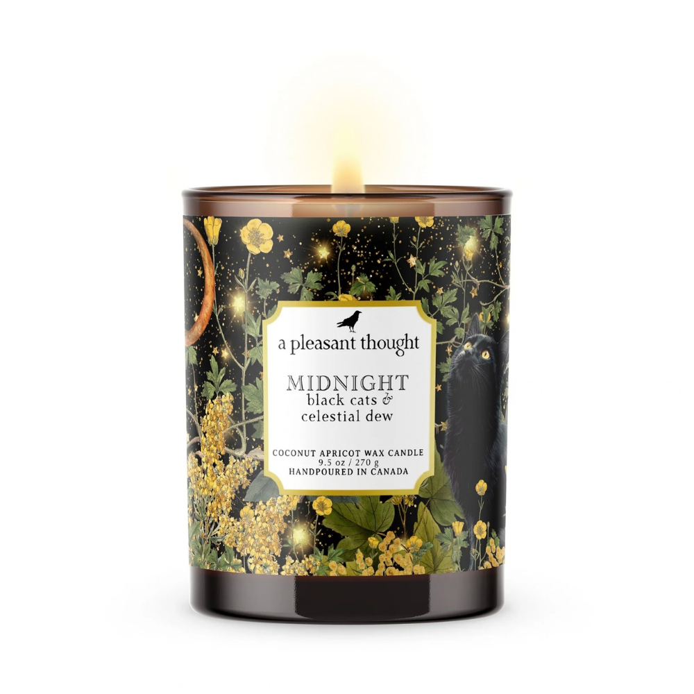 Midnight | Black Cats & Celestial Dew