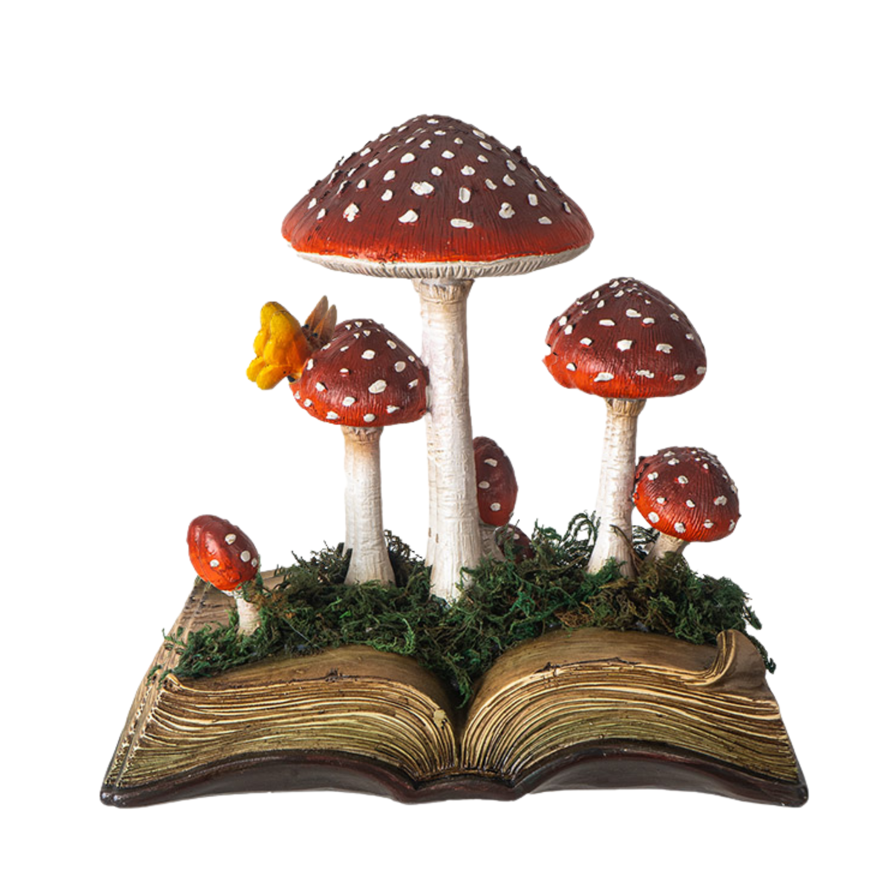 Fungus & Folklore