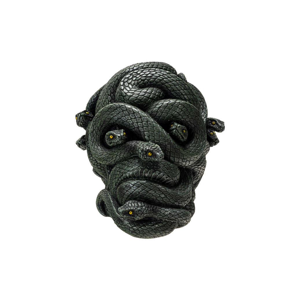Slithering Skull – Curiosa - Purveyors of Extraordinary Things