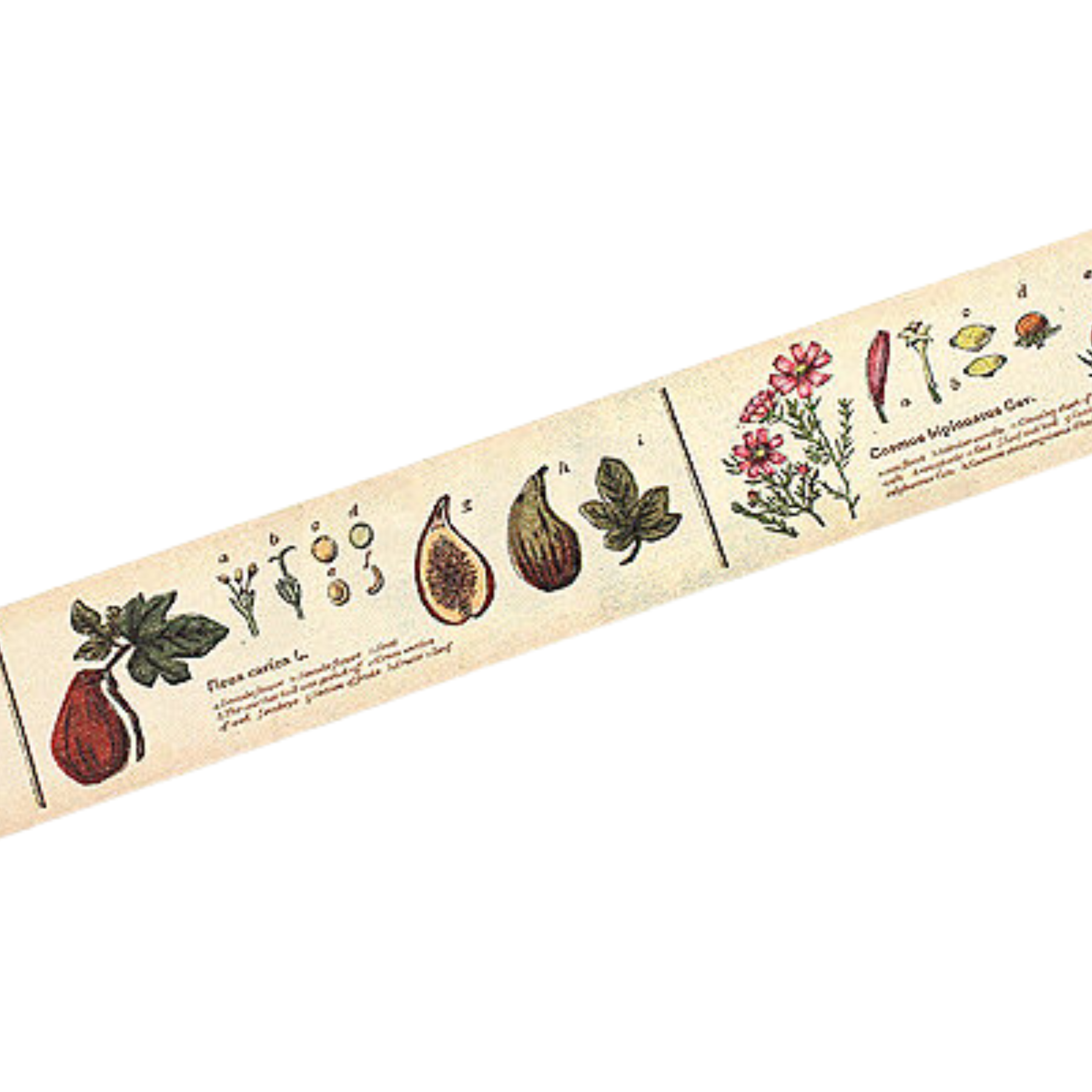 Fablegrove Washi Tape