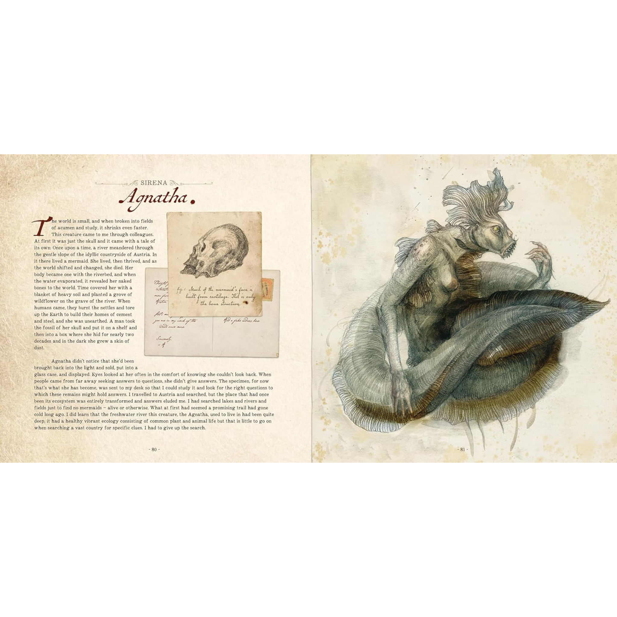 Dr. C. Lillefisk's Sirenology: A Guide to Mermaids and Other Under-The-Sea Phenonemon