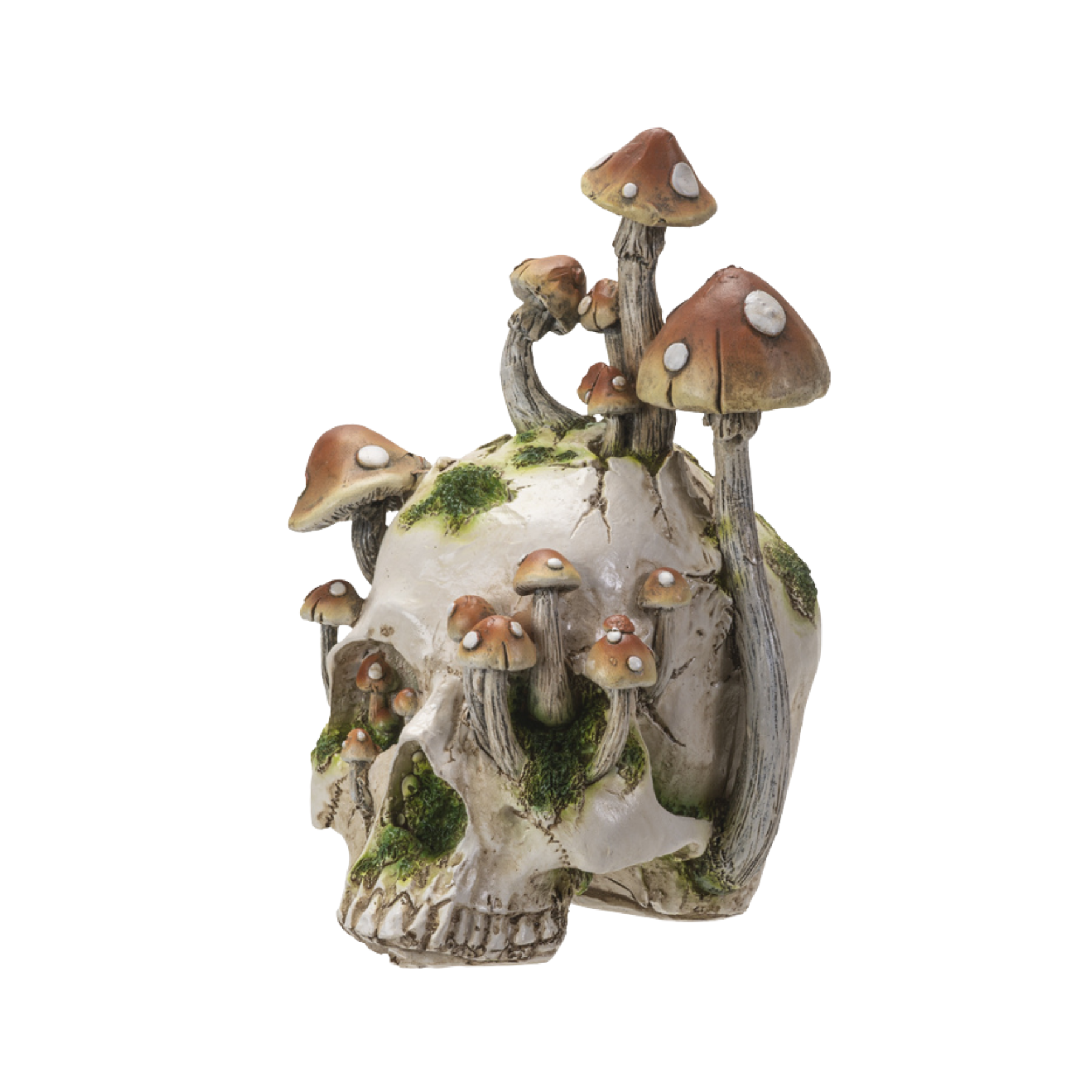 The Skull of Mushroom Grove