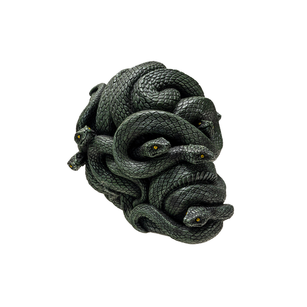 Slithering Skull – Curiosa - Purveyors of Extraordinary Things