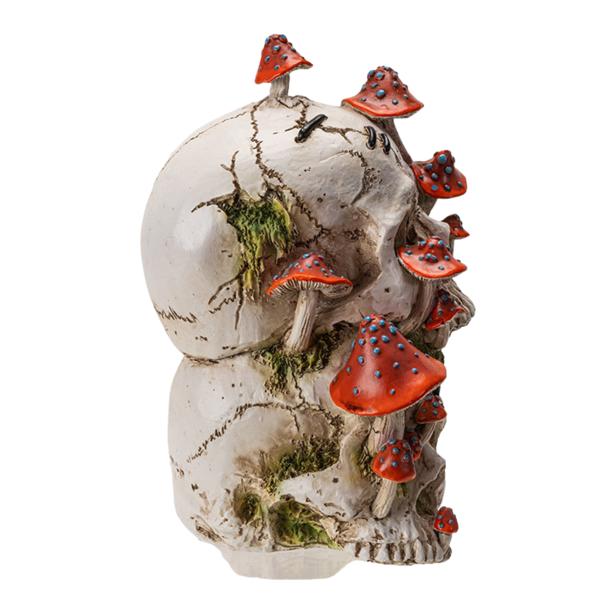 Fungi Skulls