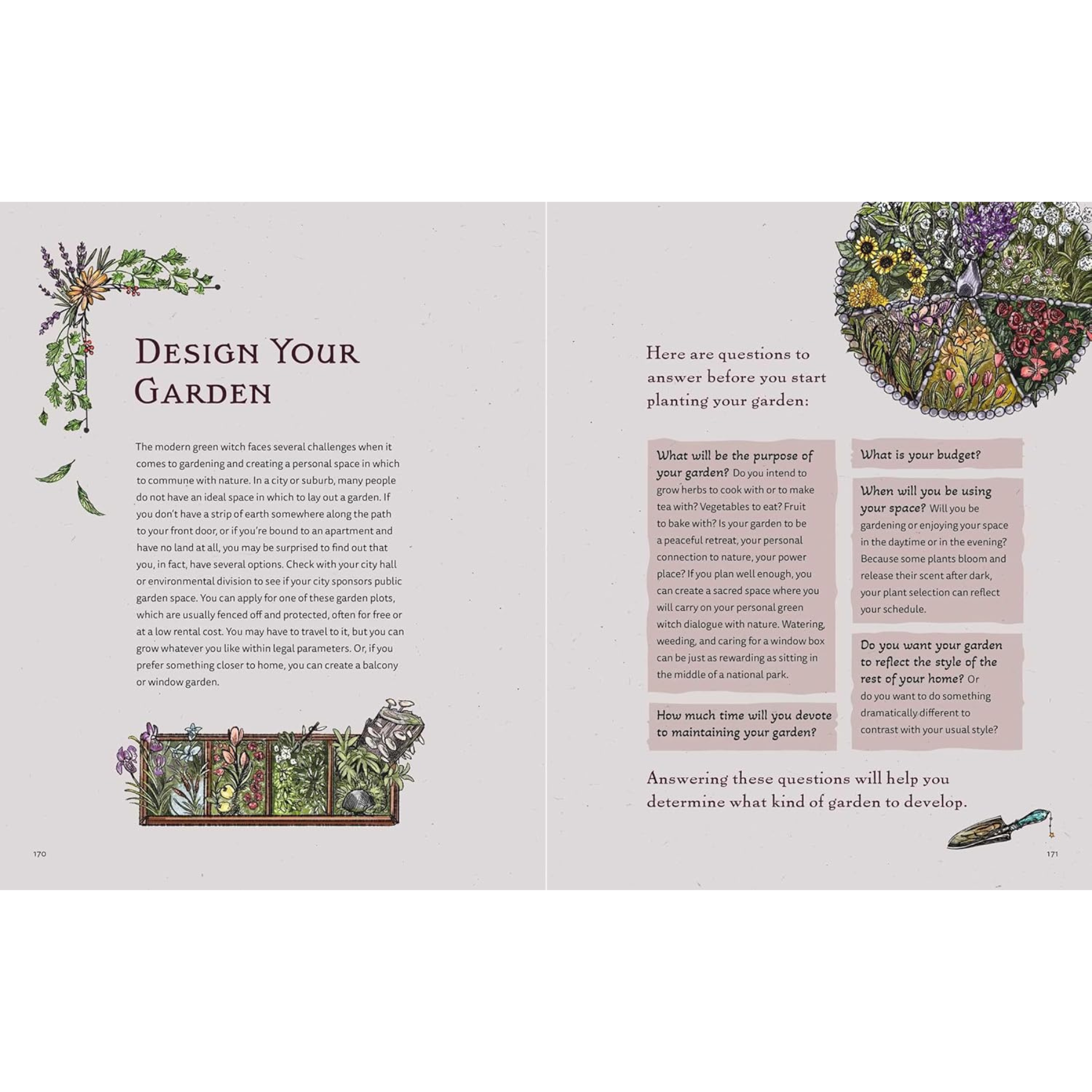 The Green Witch Illustrated Edition