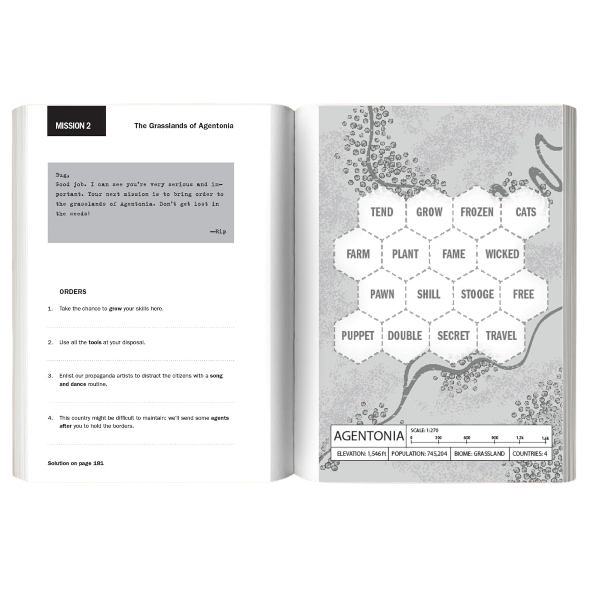 Bordergrams: 80 Secret Spy Connection Puzzles