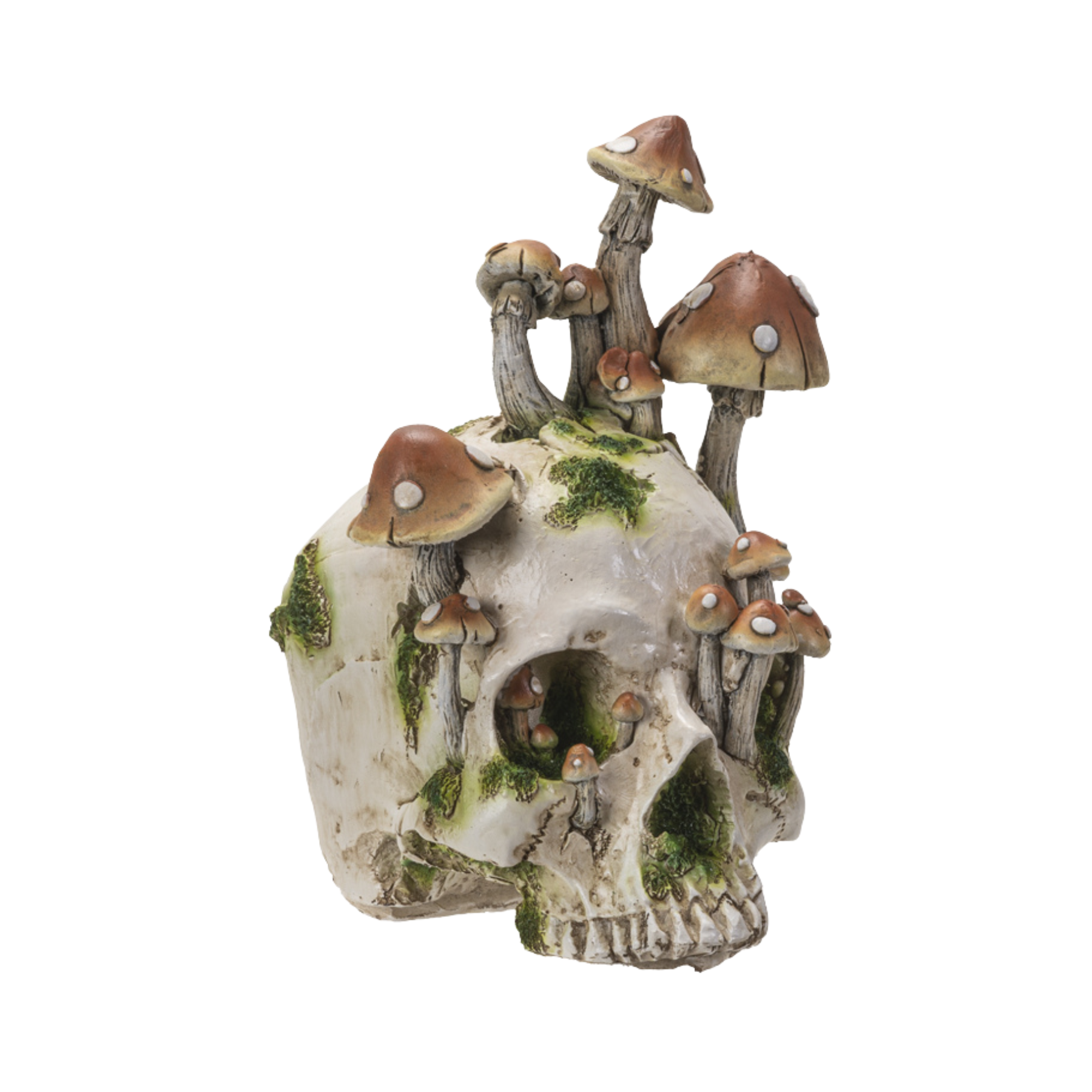 The Skull of Mushroom Grove
