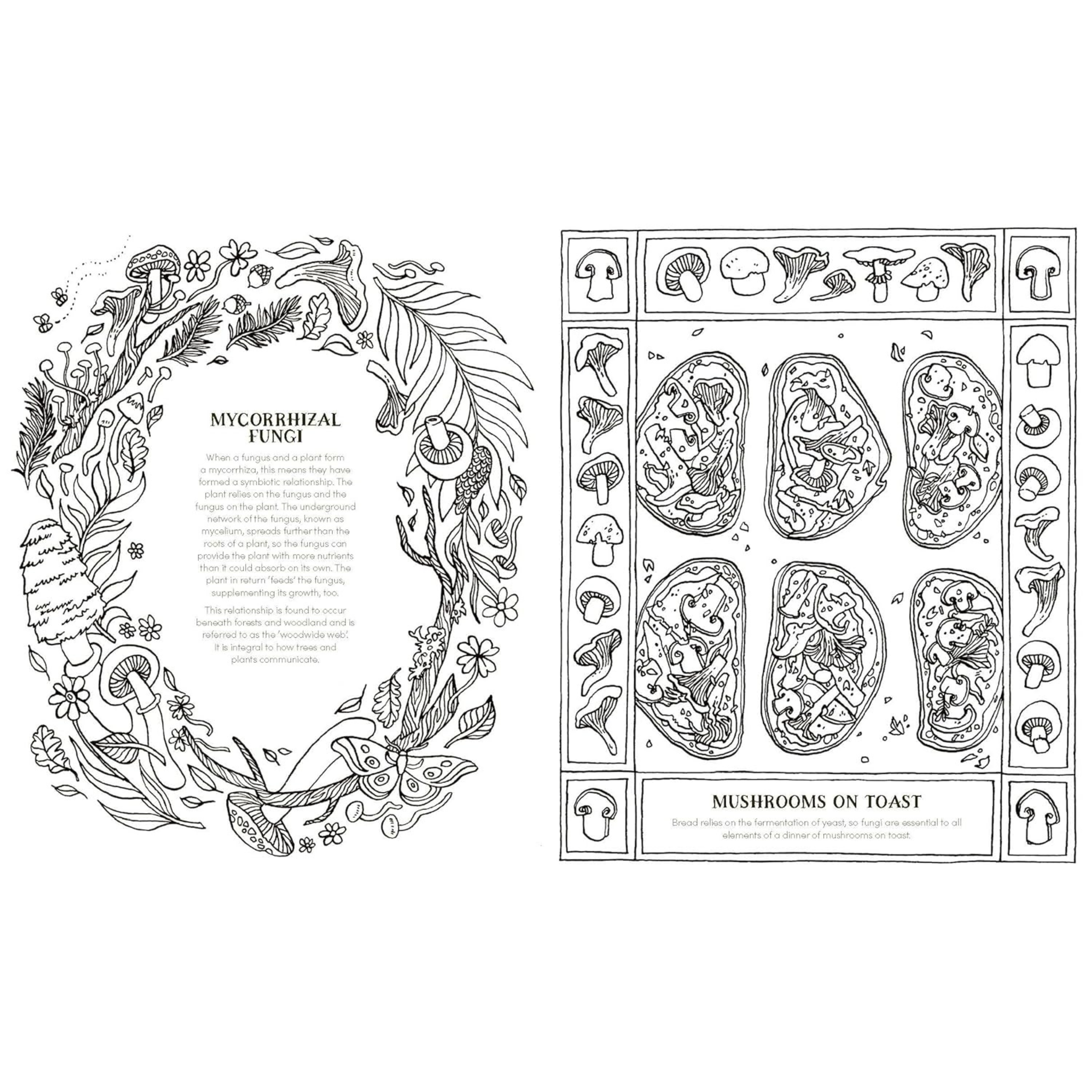 Into the Fungarium Colouring Book