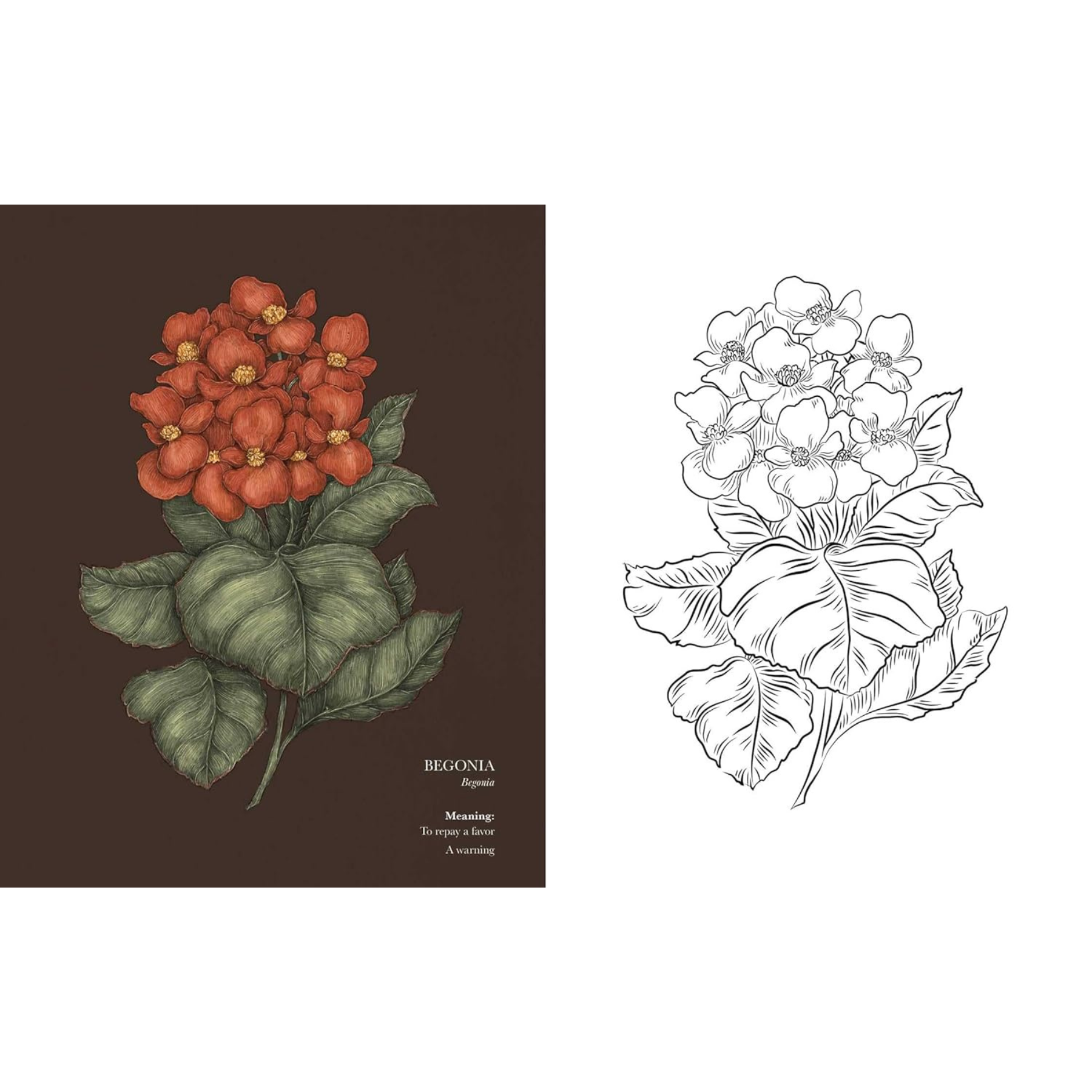 Floriography Coloring Book