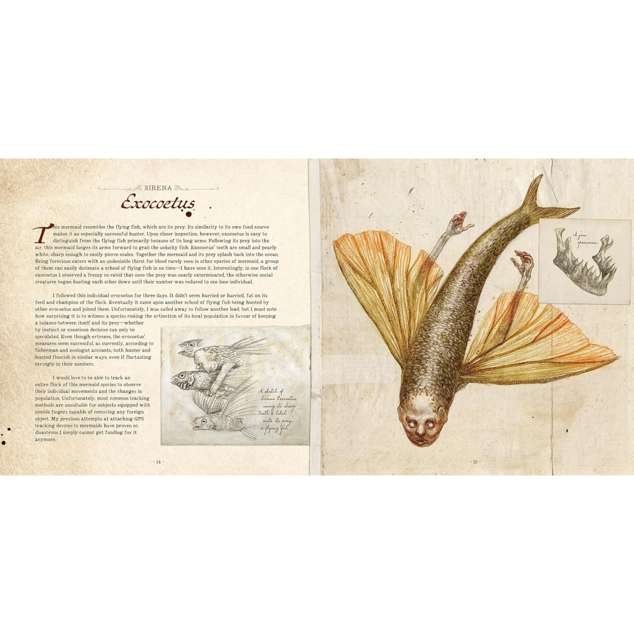 Dr. C. Lillefisk's Sirenology: A Guide to Mermaids and Other Under-The-Sea Phenonemon