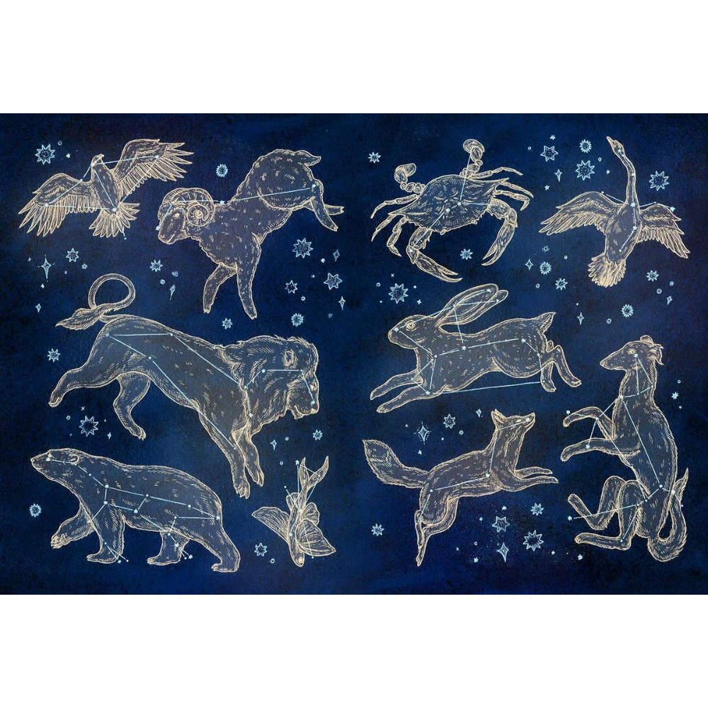 The Collector's Curio: A Sticker Treasury