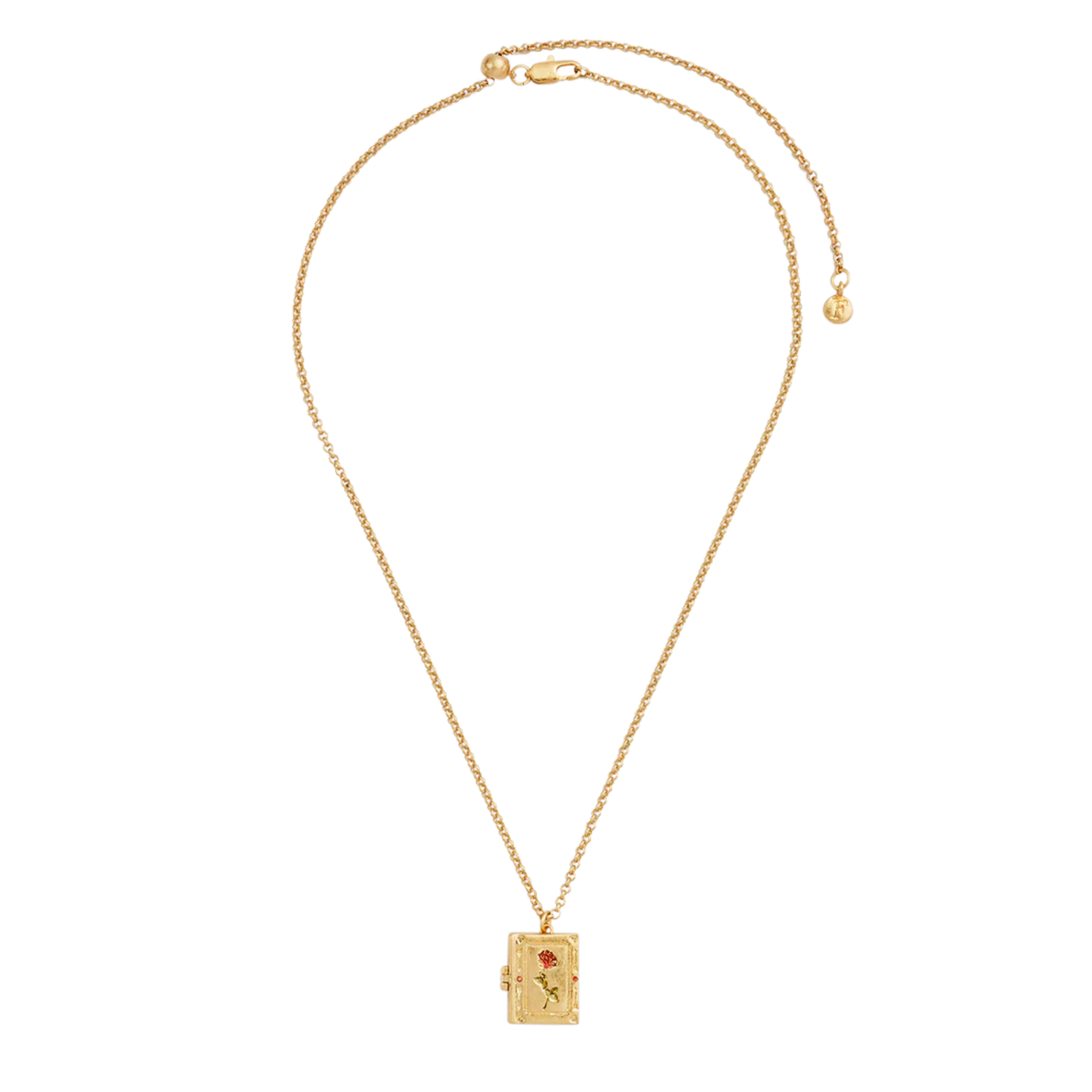 Rose Diary Locket Necklace - Fable England