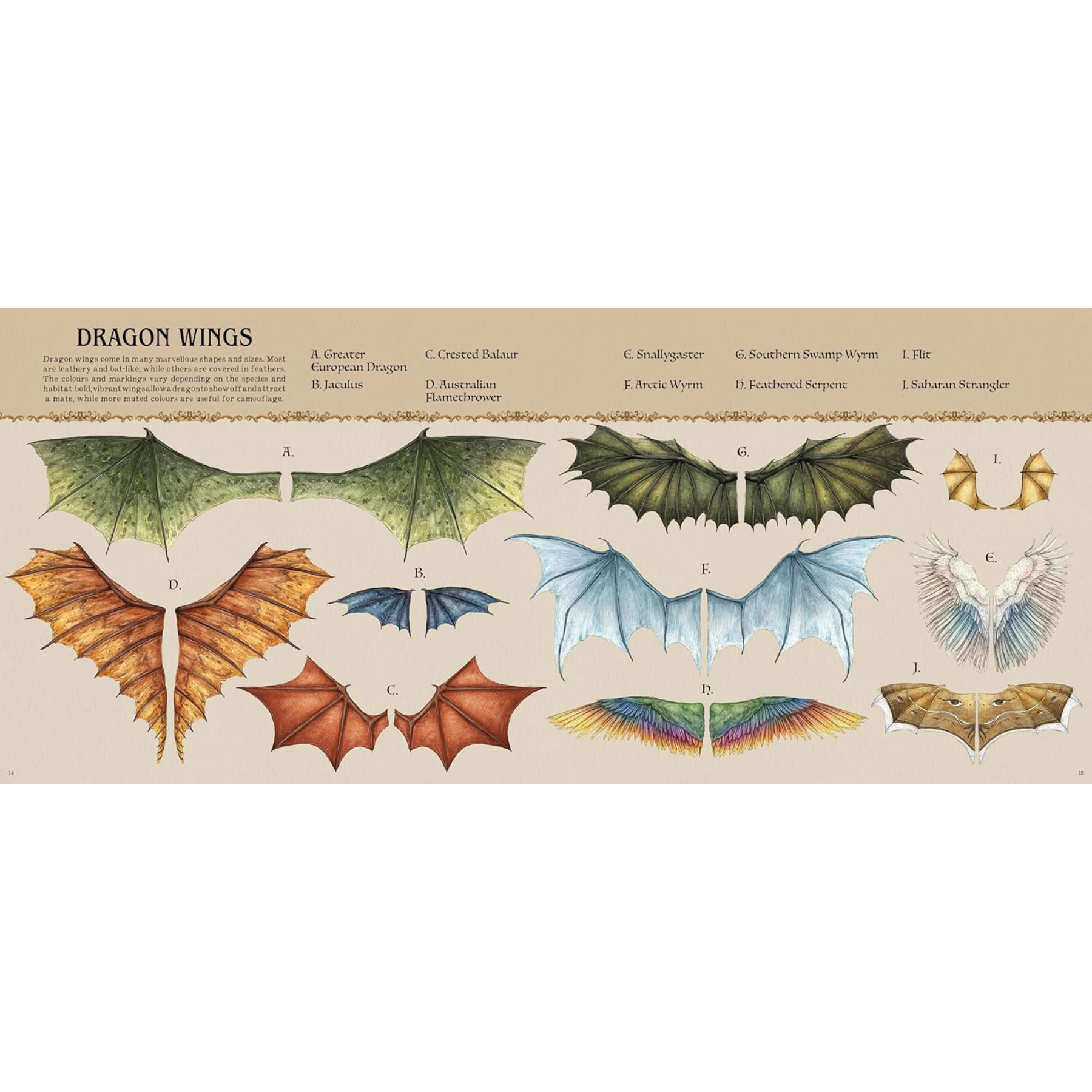 Natural History of Dragons