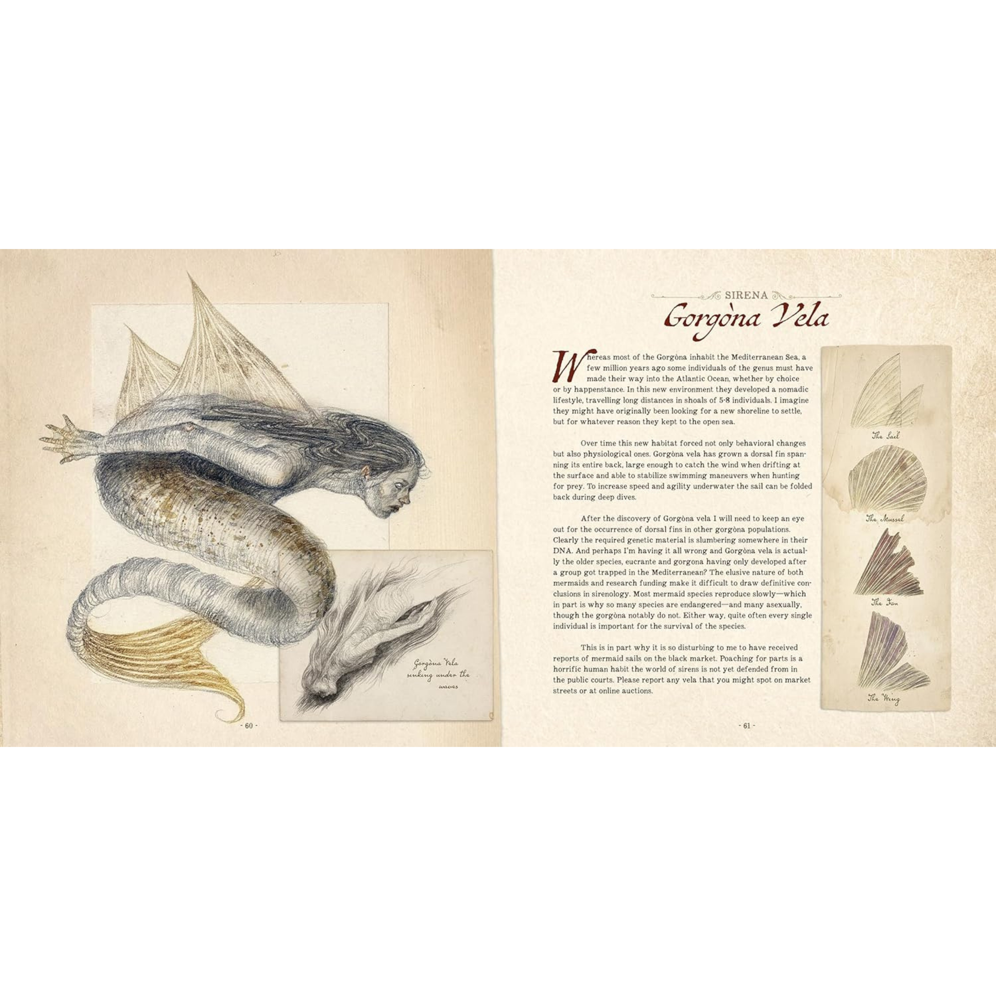 Dr. C. Lillefisk's Sirenology: A Guide to Mermaids and Other Under-The-Sea Phenonemon