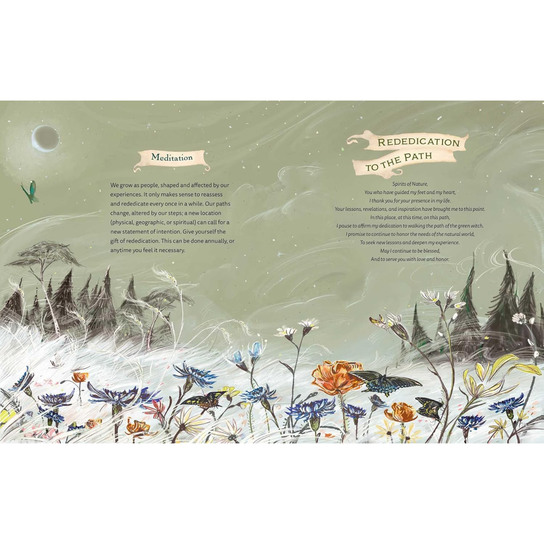 The Green Witch Illustrated Edition