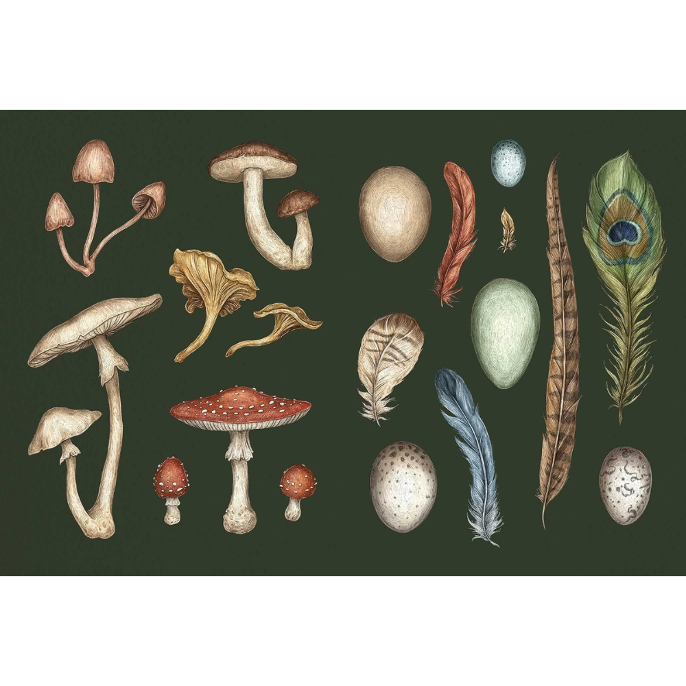 The Collector's Curio: A Sticker Treasury