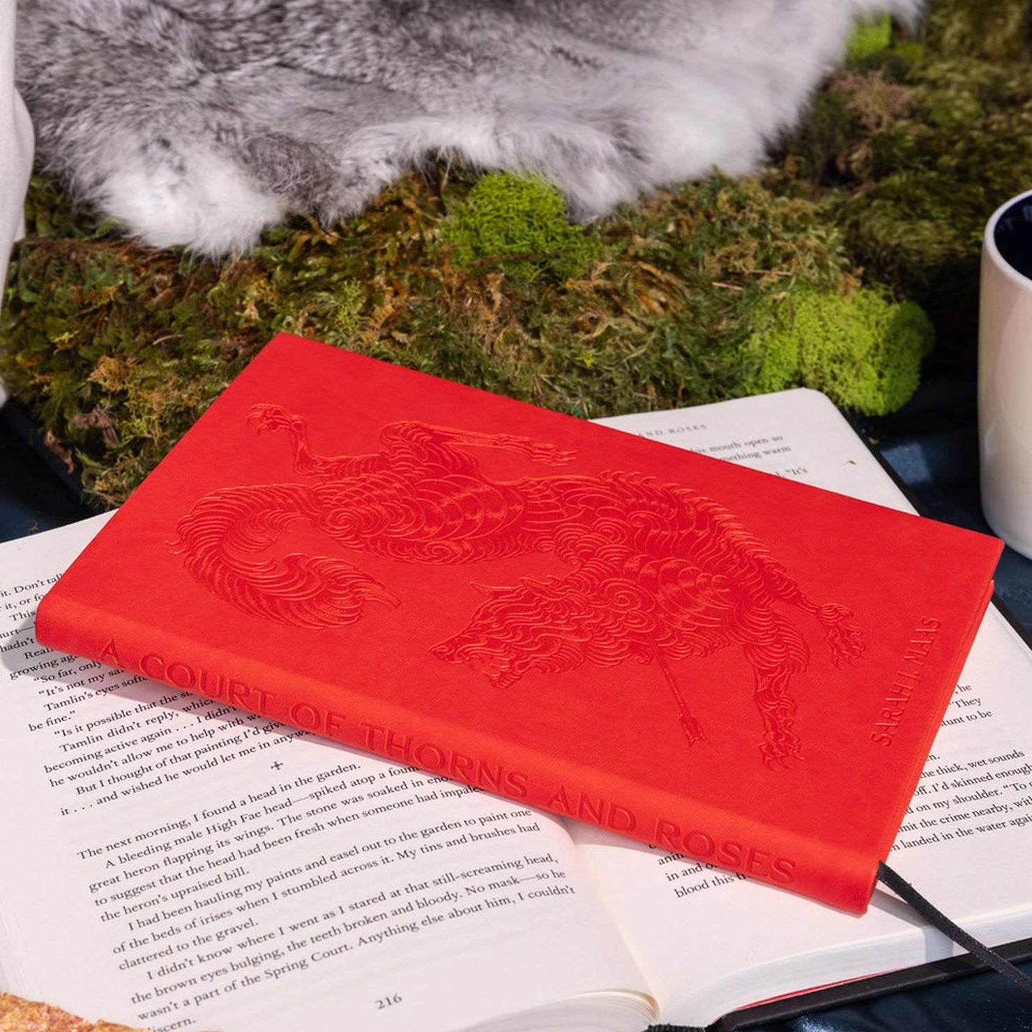 A Court of Thorns and Roses Red Leatherette Journal