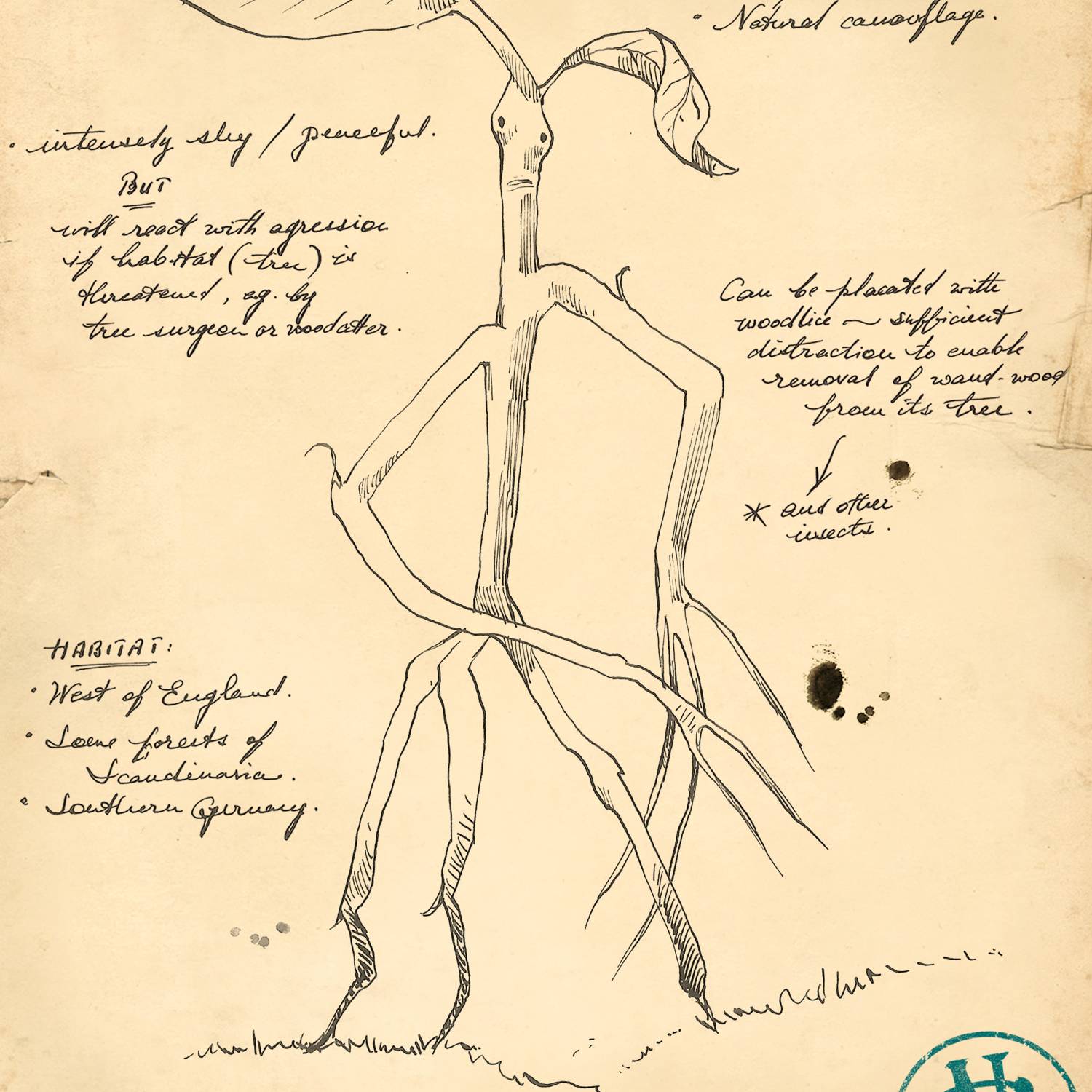 Pickett the Bowtruckle Sketch From Newt Scamander's Field Journal Limited Edition Art Print