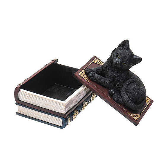Black Cat Book Trinket Box