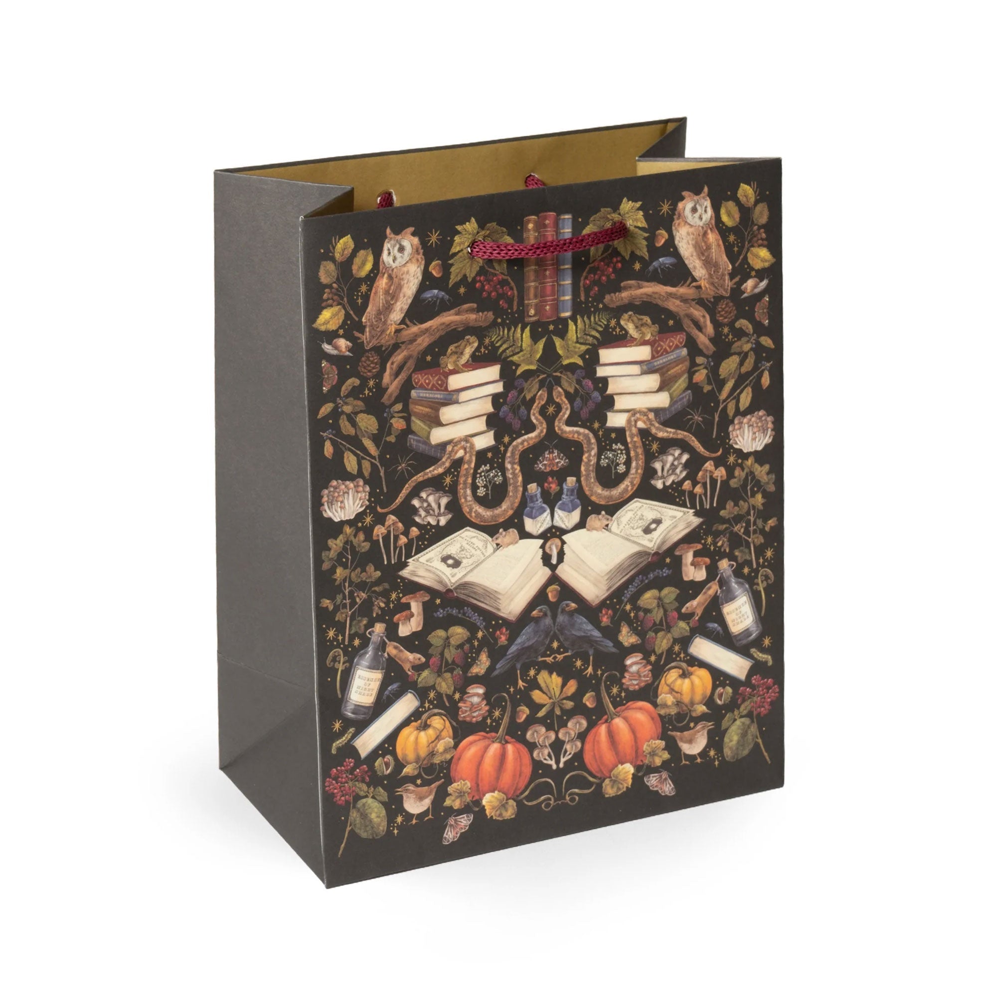 Witchcraft Gift Bag