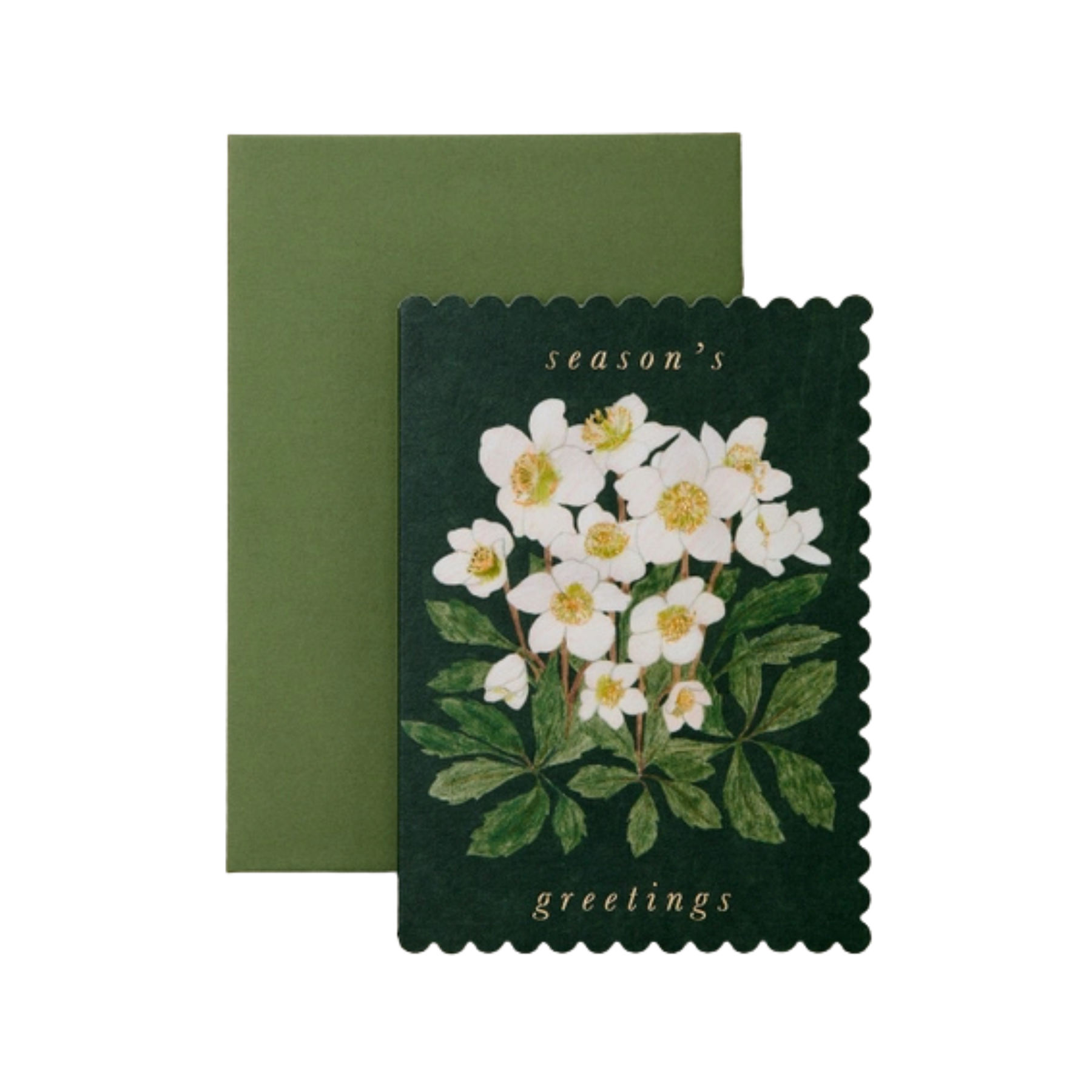 Hellebore 'Season's Greetings' Card