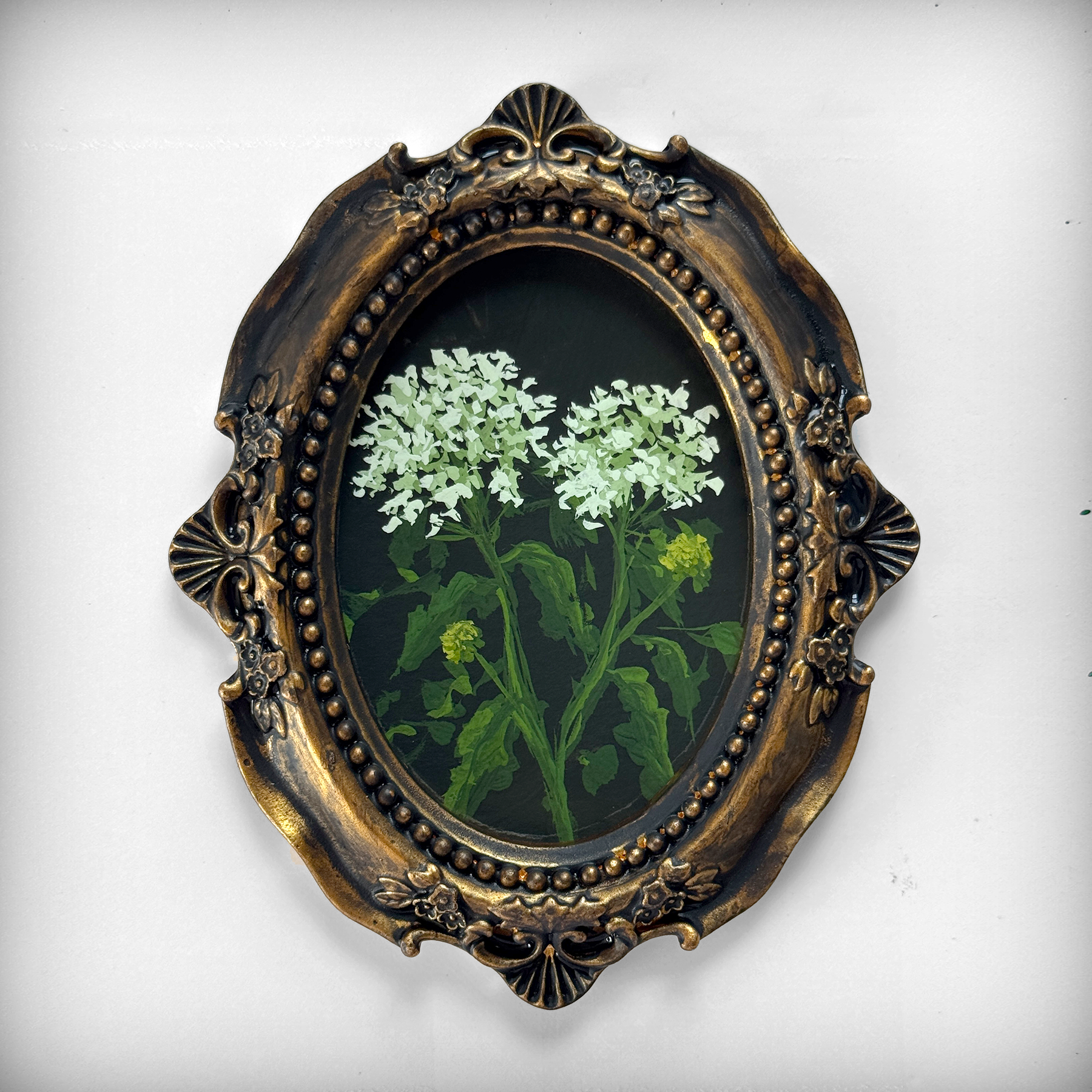 Victorian Poisonous Plant Study: Painting Giant Hogweed with Annie Parkes