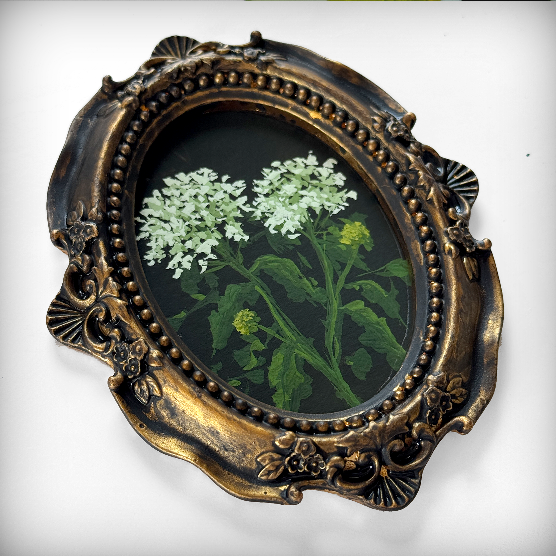 Victorian Poisonous Plant Study: Painting Giant Hogweed with Annie Parkes