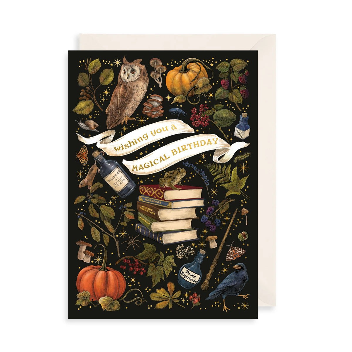 Wishing You a Magical Birthday Card