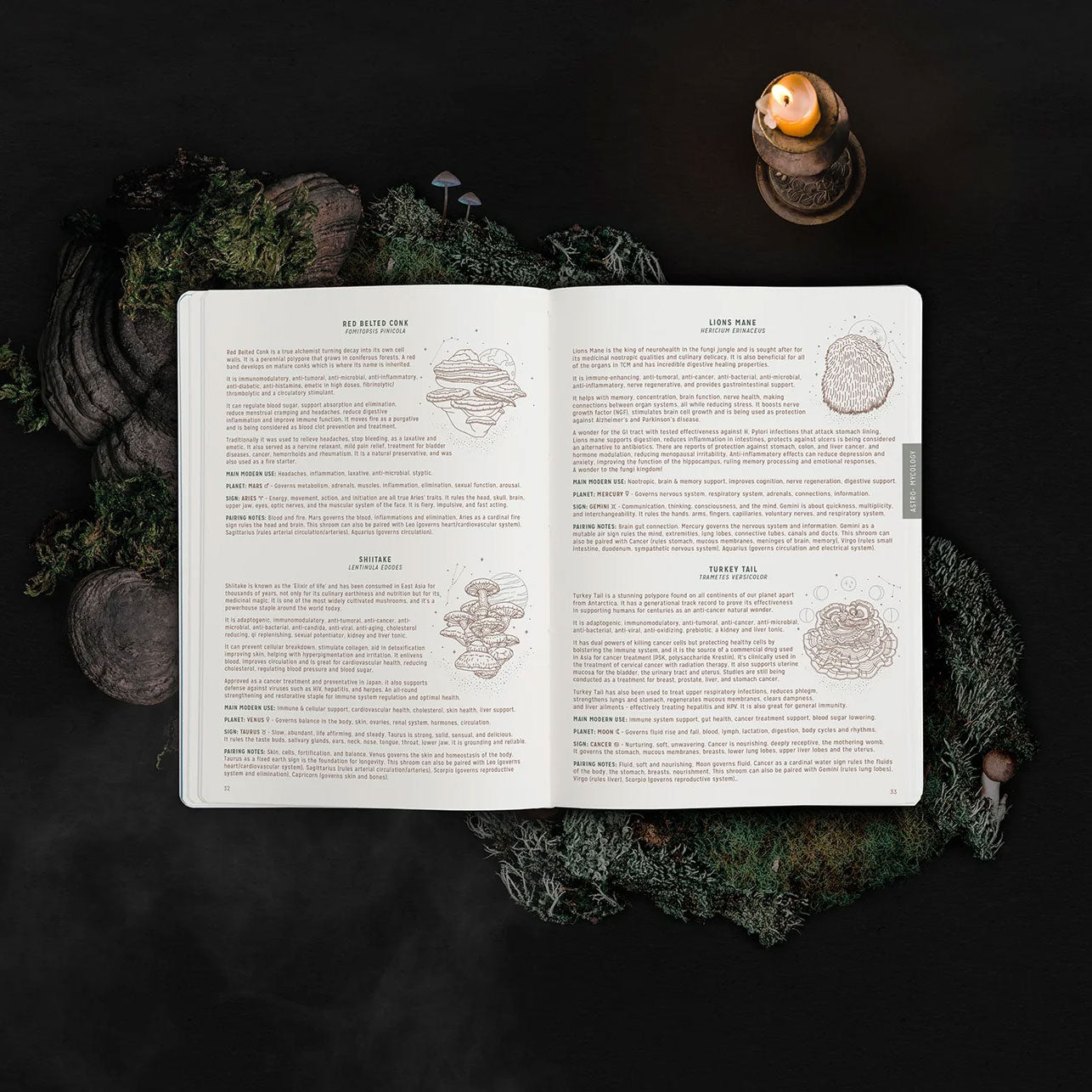 Magic of I 2024 Astrological Planner - White