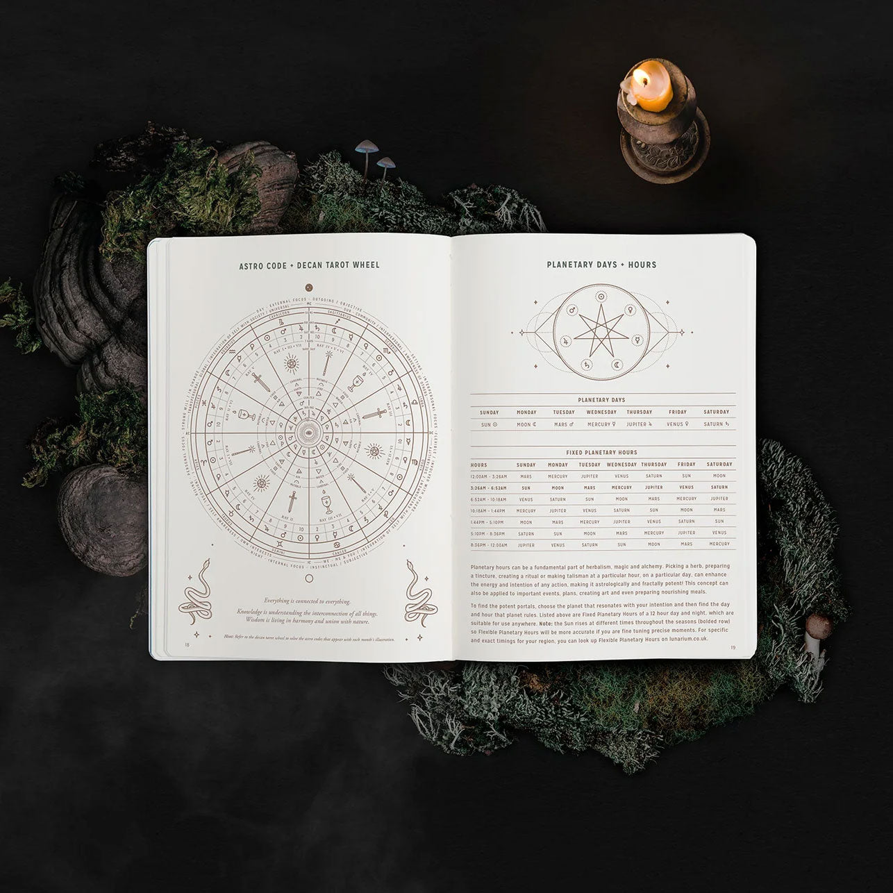 Magic of I 2024 Astrological Planner - White
